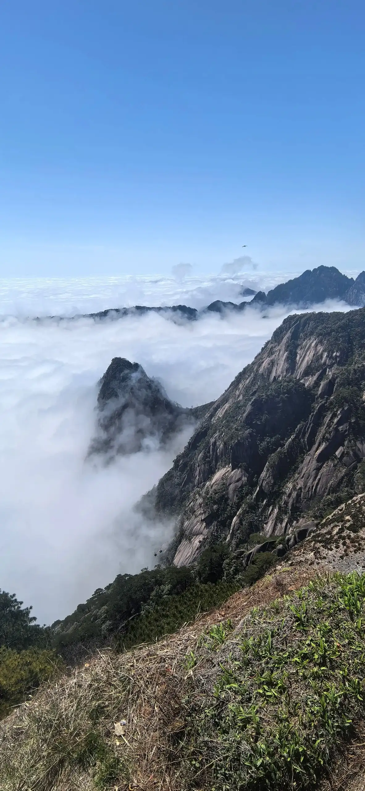 蓝天下黄山峰林之间铺开的云海