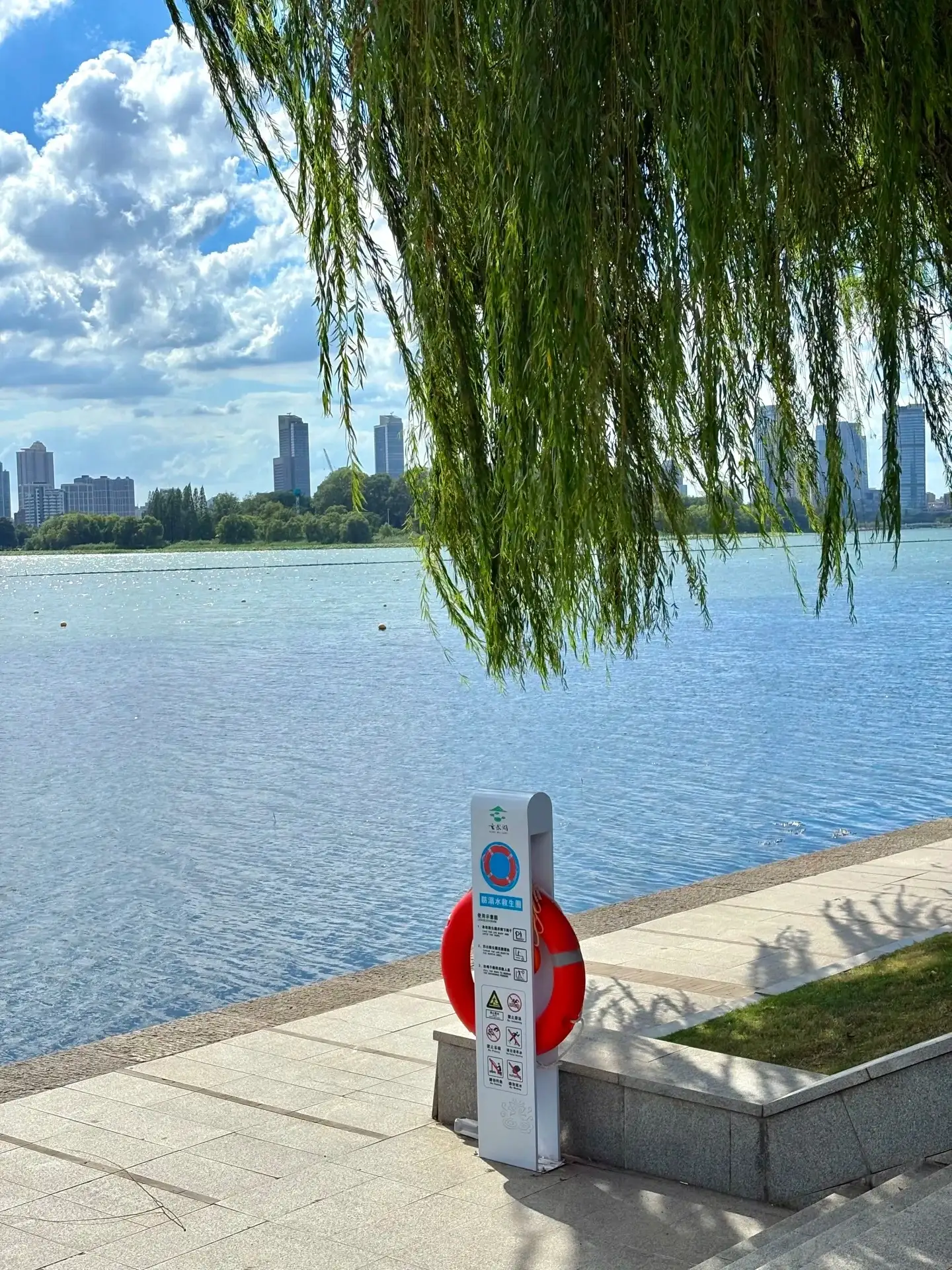 玄武湖岸边的柳枝、湖面与城市楼群