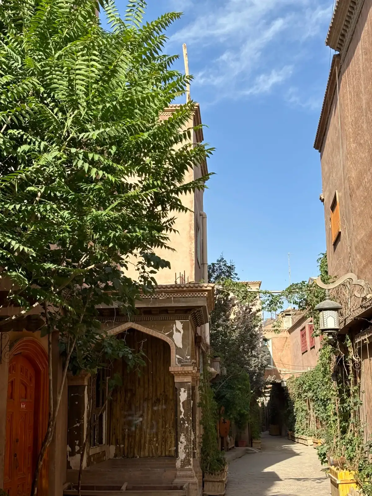 A narrow alley bathed in sunlight, lined with wooden doors, trees, and climbing vines