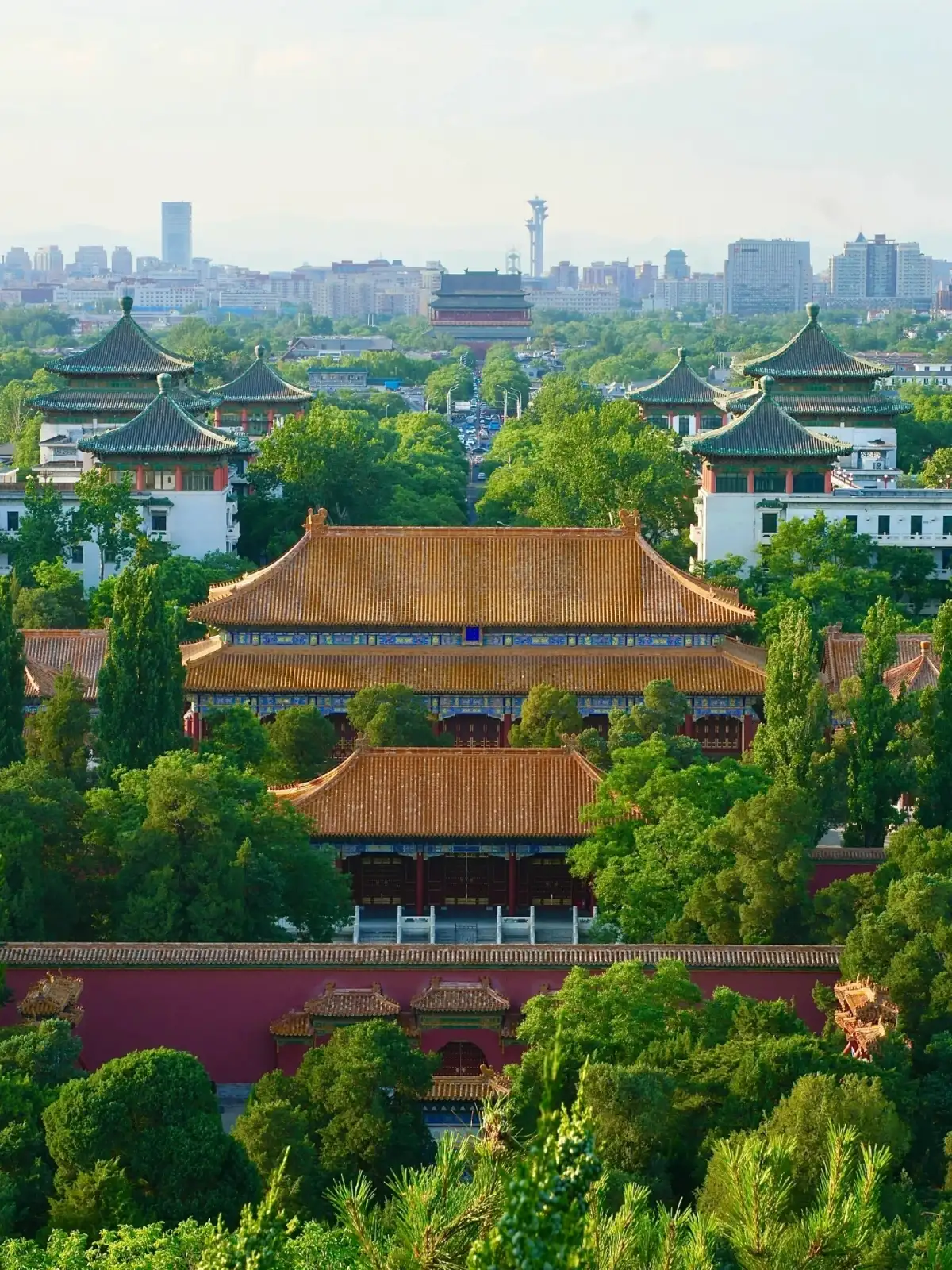 景山北侧重叠的殿宇屋顶与城市远景