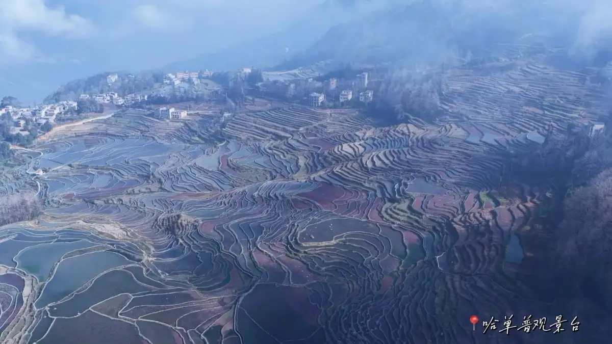 vast, mist-shrouded terraced fields and ridges