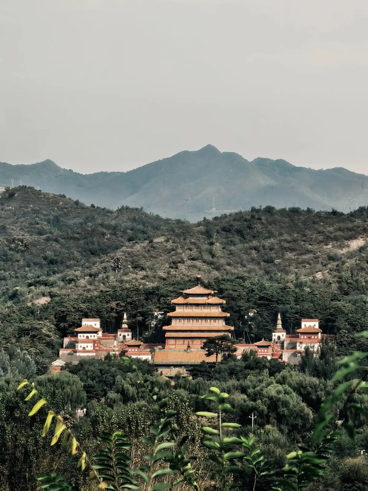 The main building with its multi-tiered golden roofs amidst the mountains and forests, flanked by clusters of buildings on either side