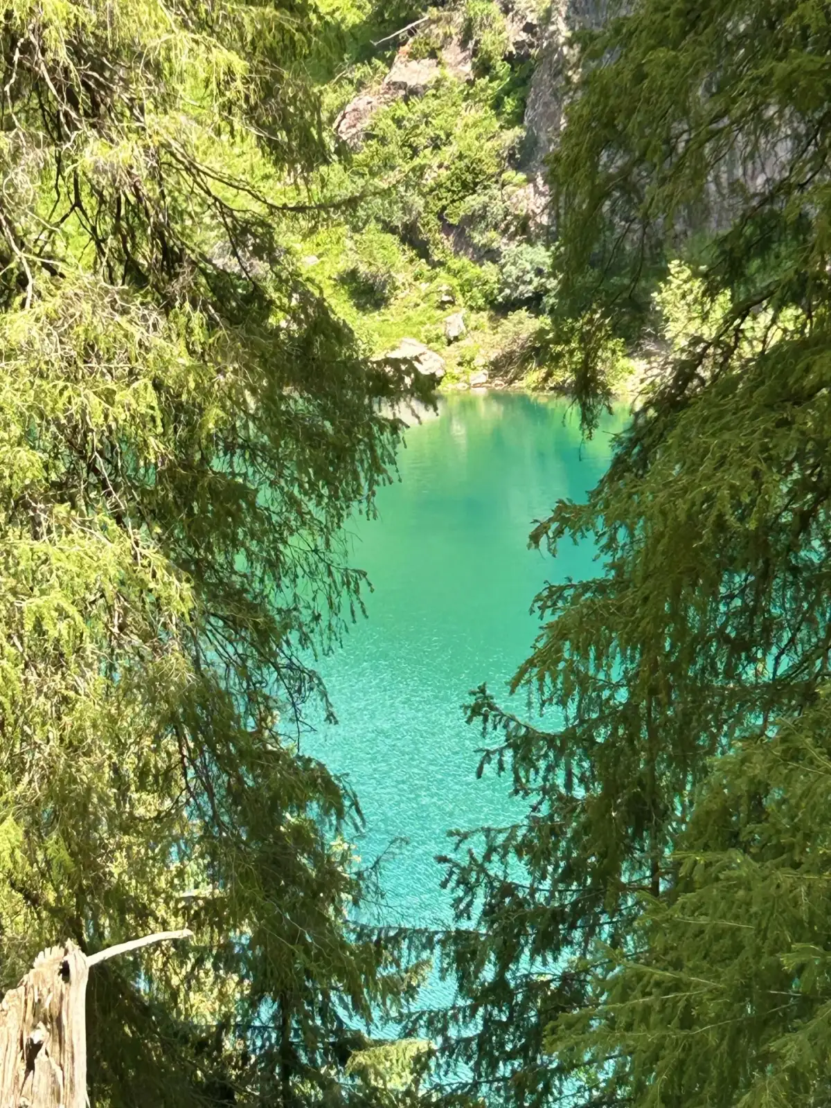 天池景区林间碧色水潭