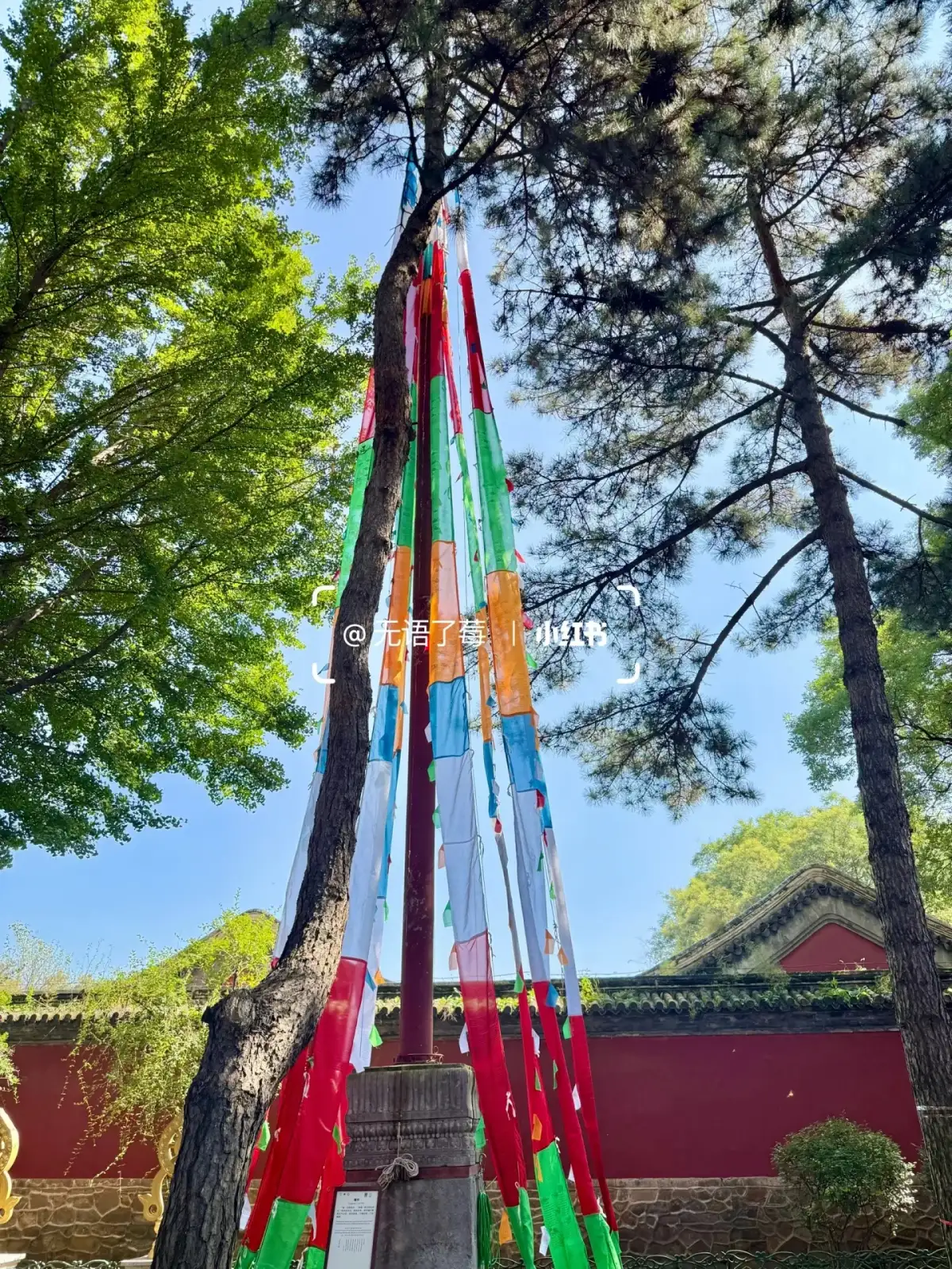 colorful, long banners hanging beside the pine trees