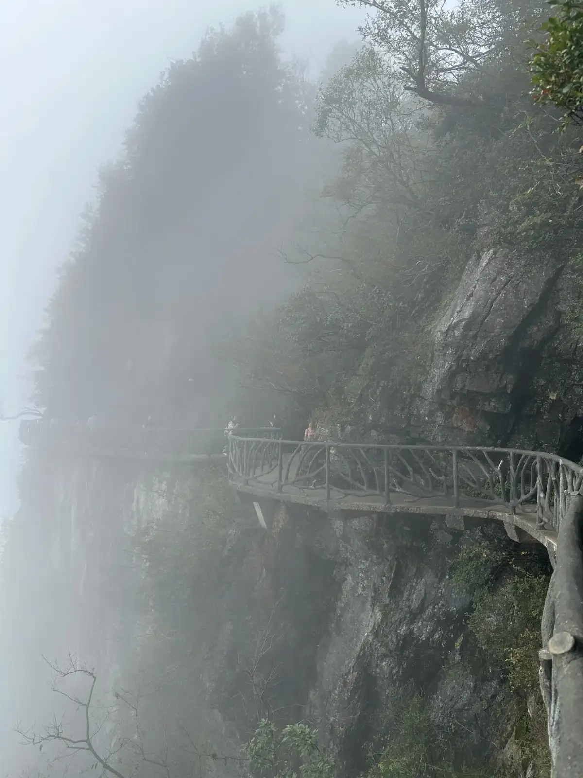 天门山岩壁上的临崖栈道与树林