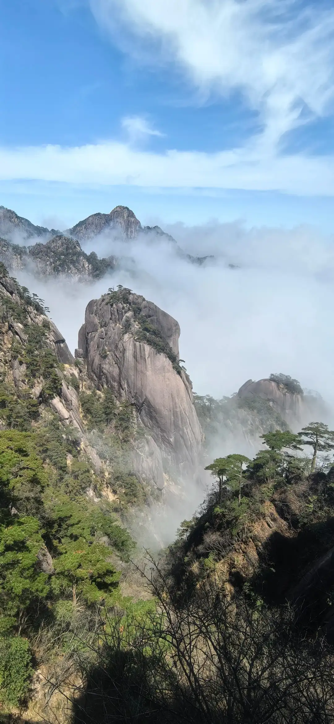 黄山松树与云雾中的石峰