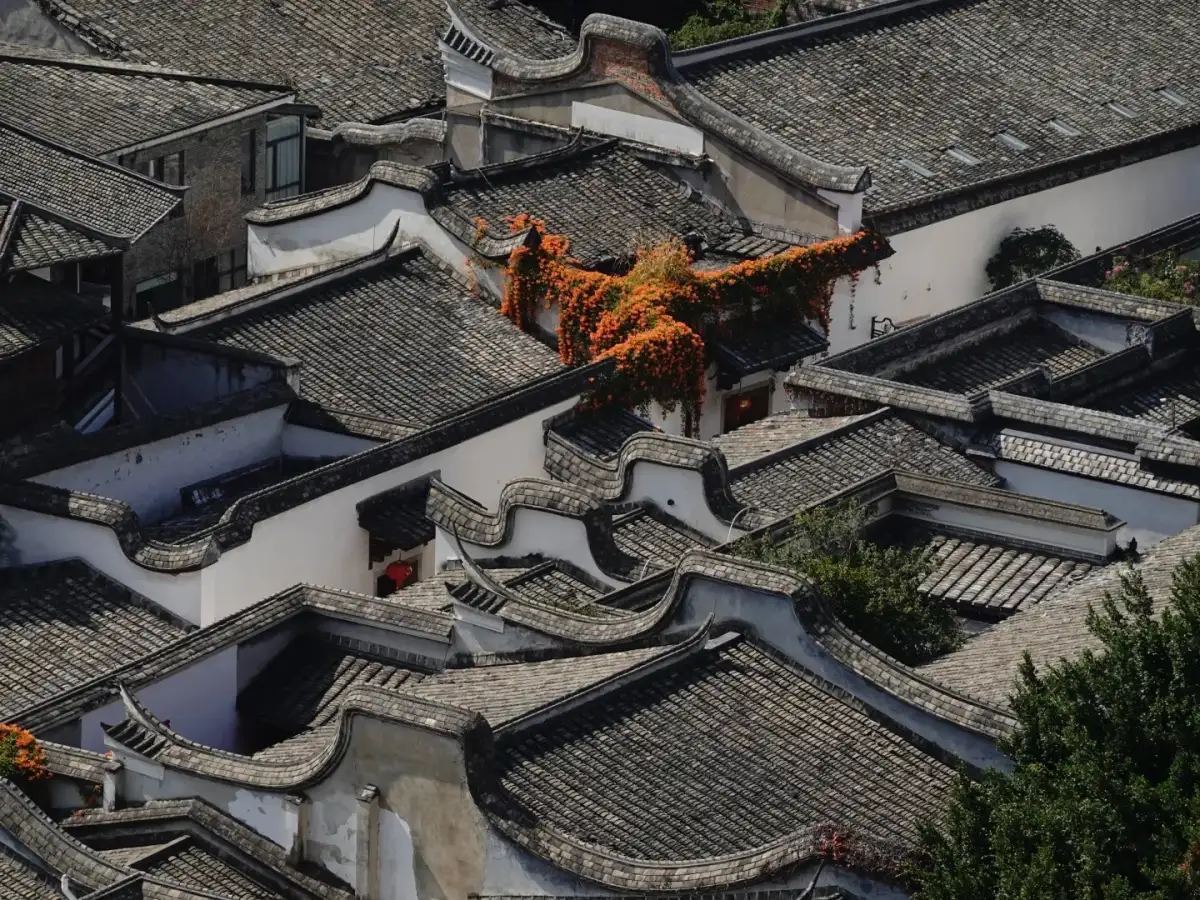 Amid the white walls and gray-tiled roofs, a single orange flowering tree adds a splash of color to the neighborhood.