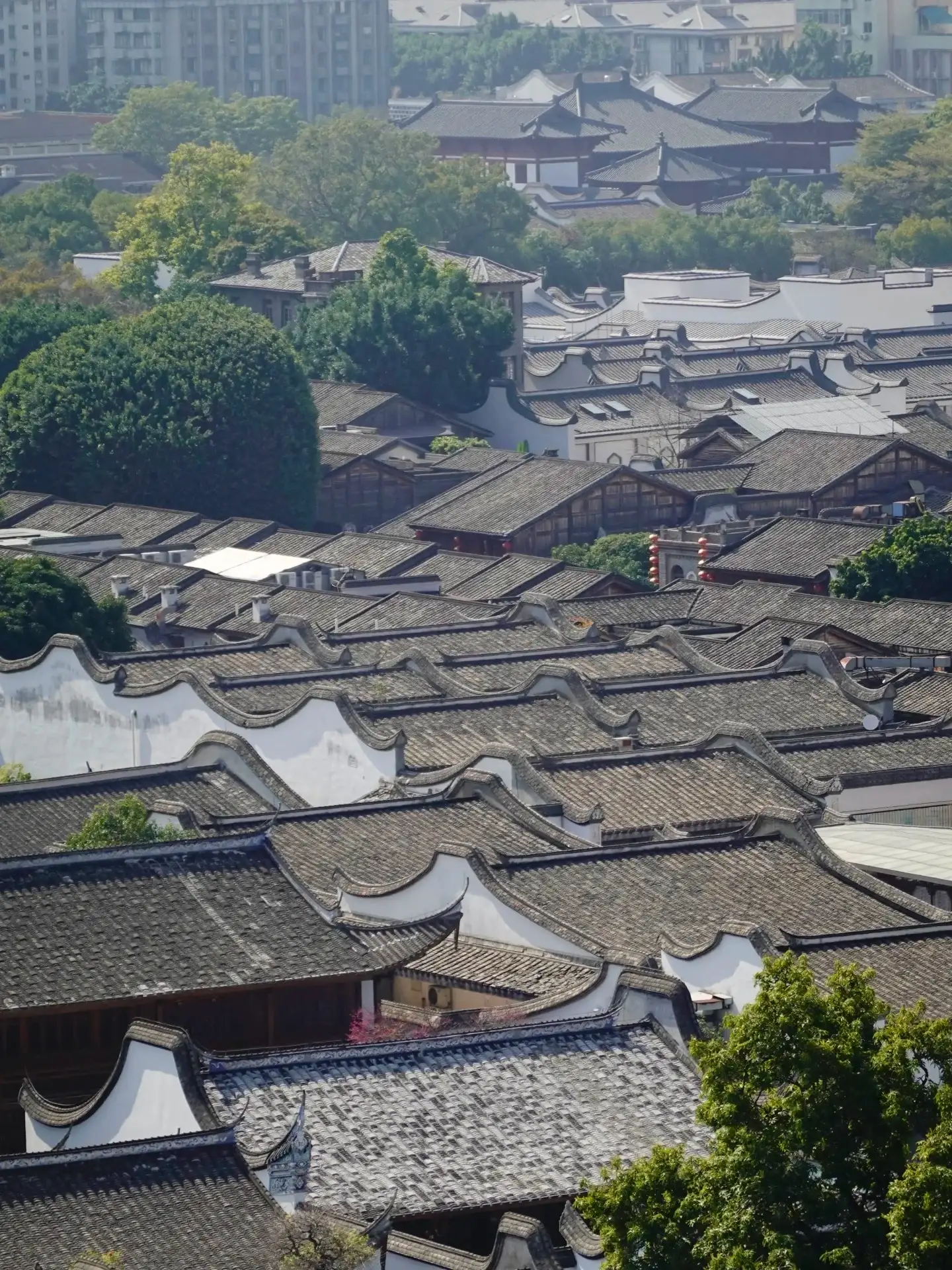 A bird’s-eye view of the neighborhood, composed of white walls, gray tiles, and curved gables, with green trees scattered throughout and city buildings visible in the distance.