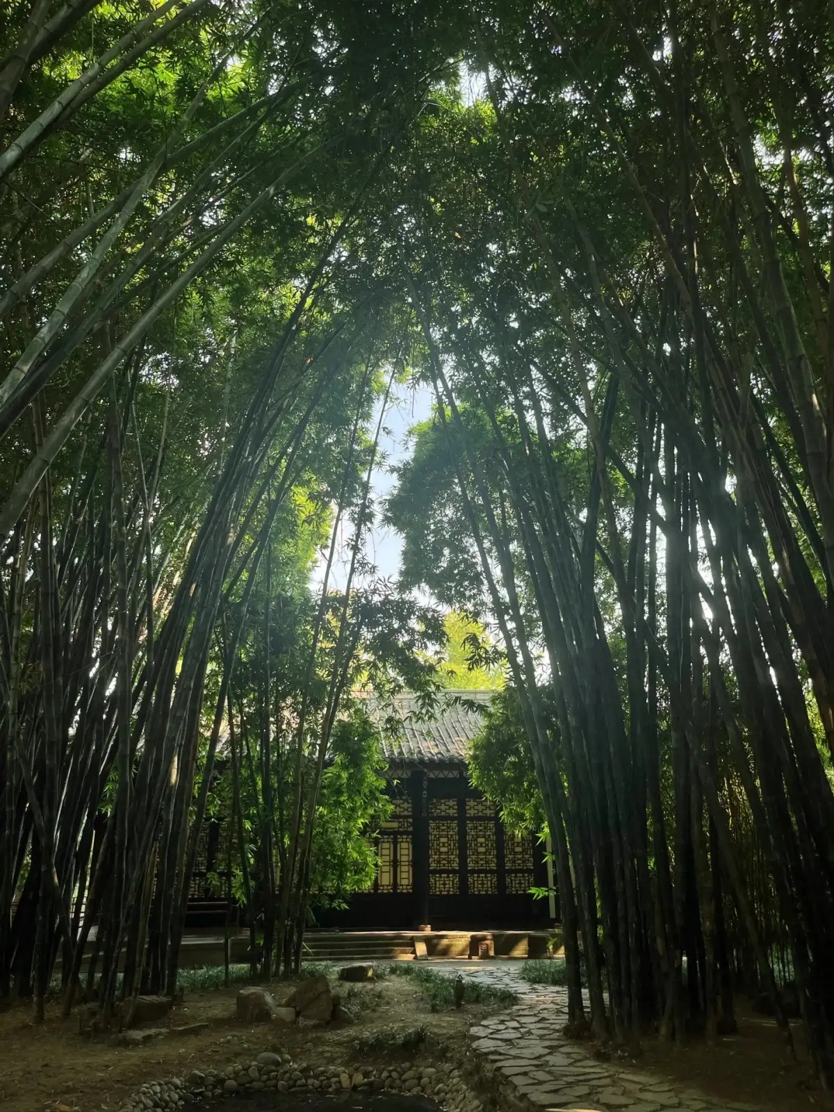 望江楼公园竹林深处的窗格与石径