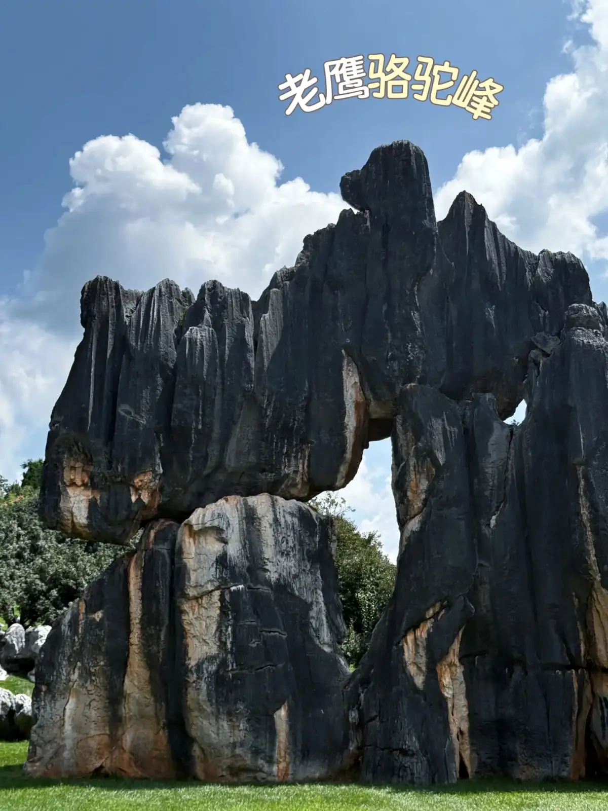 open sky, the stone forest’s rock columns and the opening in the center are depicted, accompanied by a landscape description.