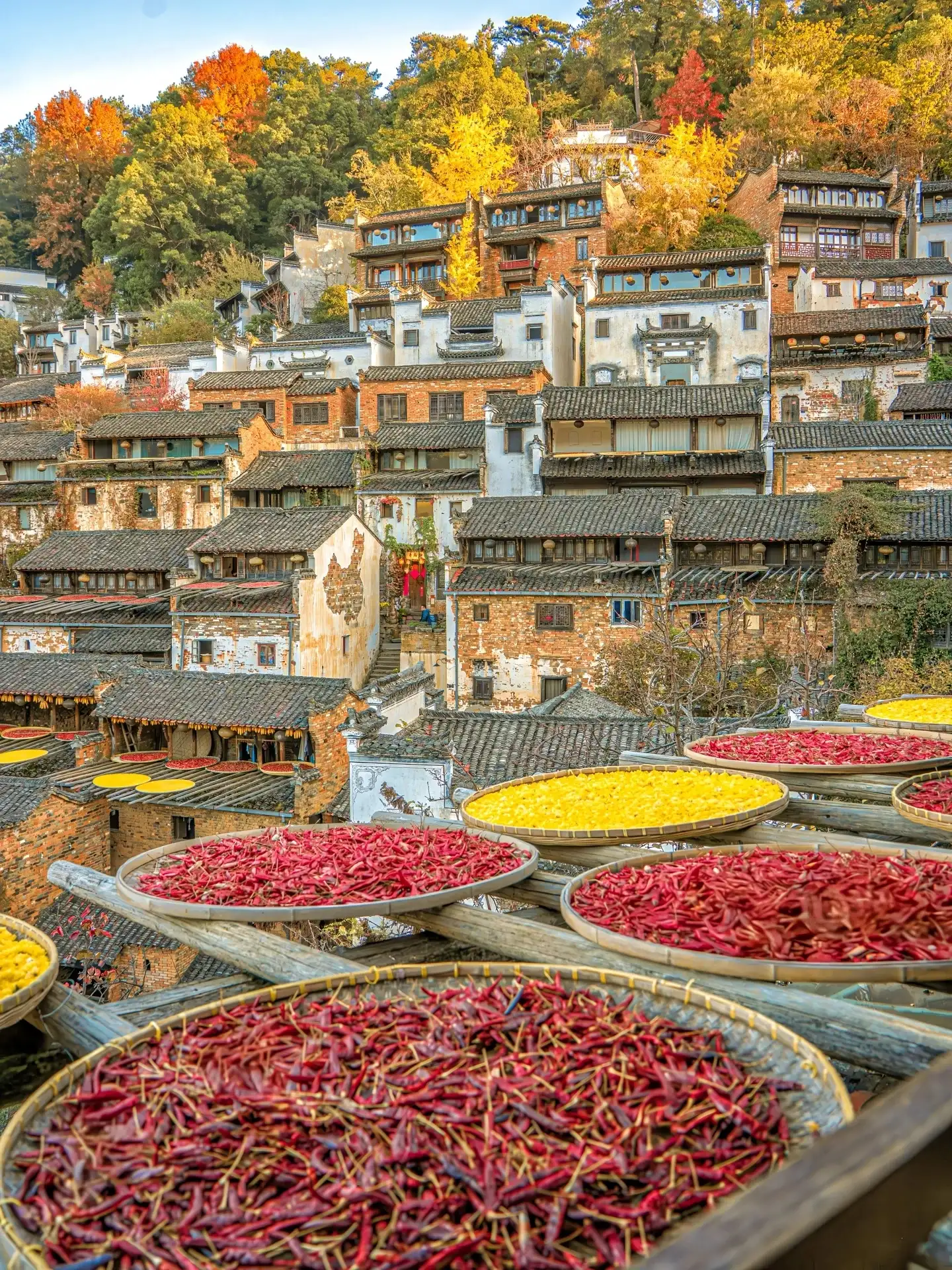 篁岭晒匾与层叠的山村屋顶