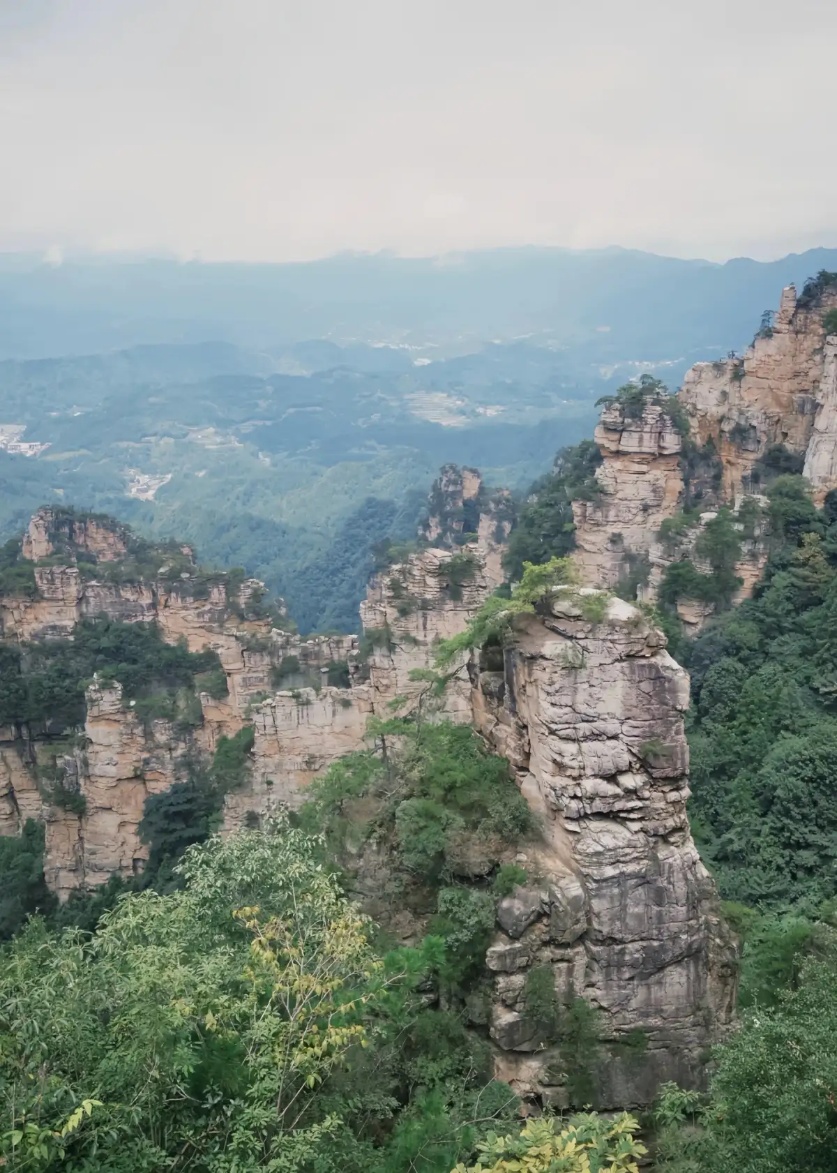 俯瞰林间石峰与远处山脉,空气中的薄雾减淡了远景颜色。