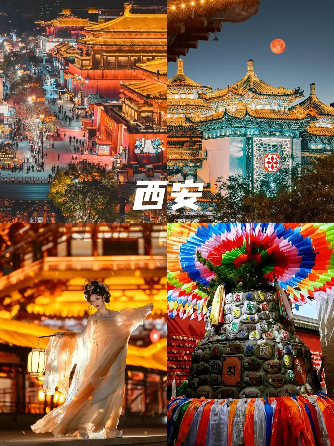 西安 5天4晚参考图片（宣传或其他）