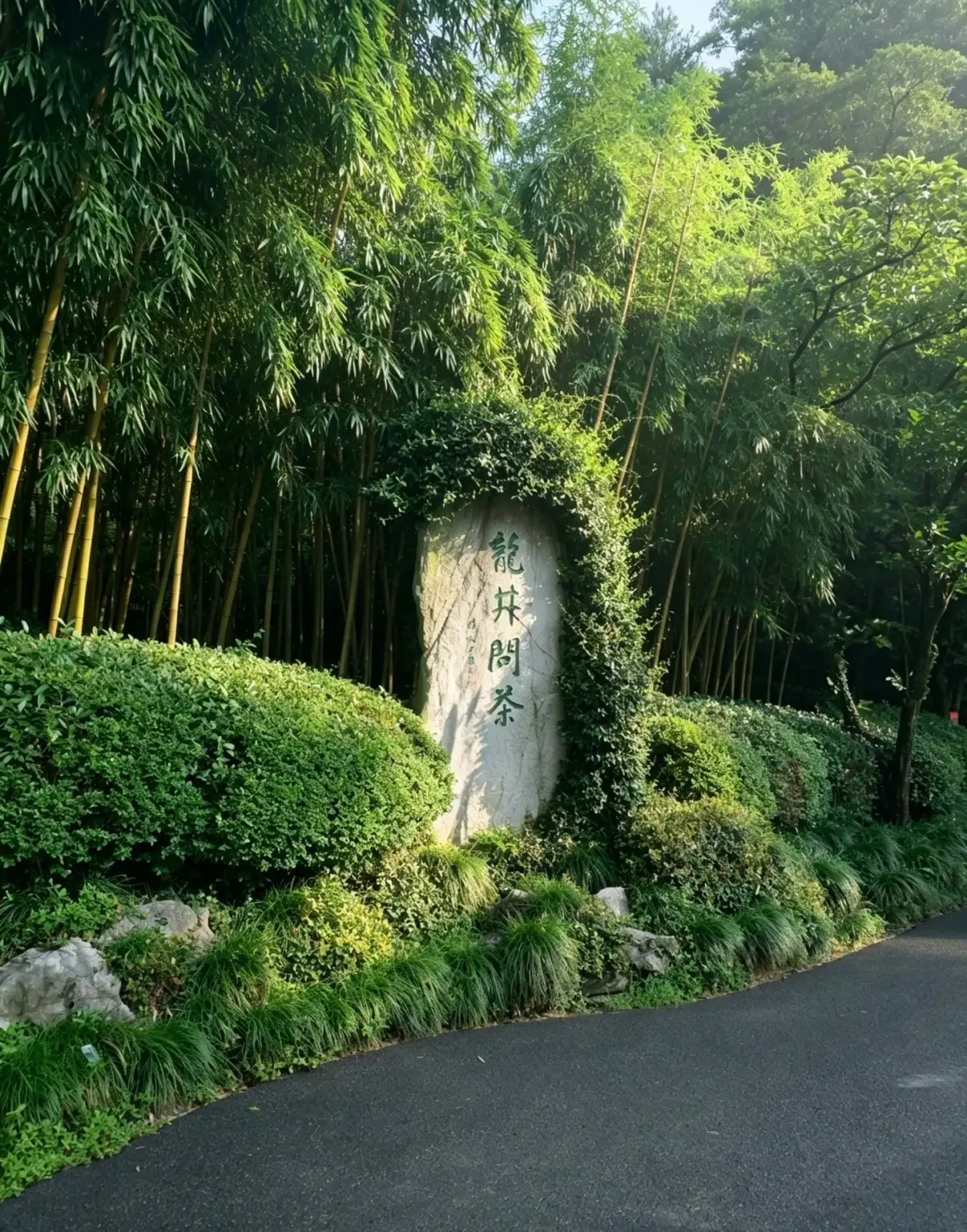 Green bamboo surrounds a stone stele inscribed with characters by the roadside; the stele stands between the vegetation and the road.