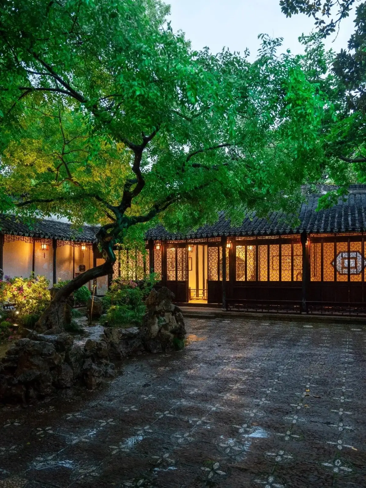 The Hall Under the Trees and the Rain-Wet Ground at Tuisi Garden