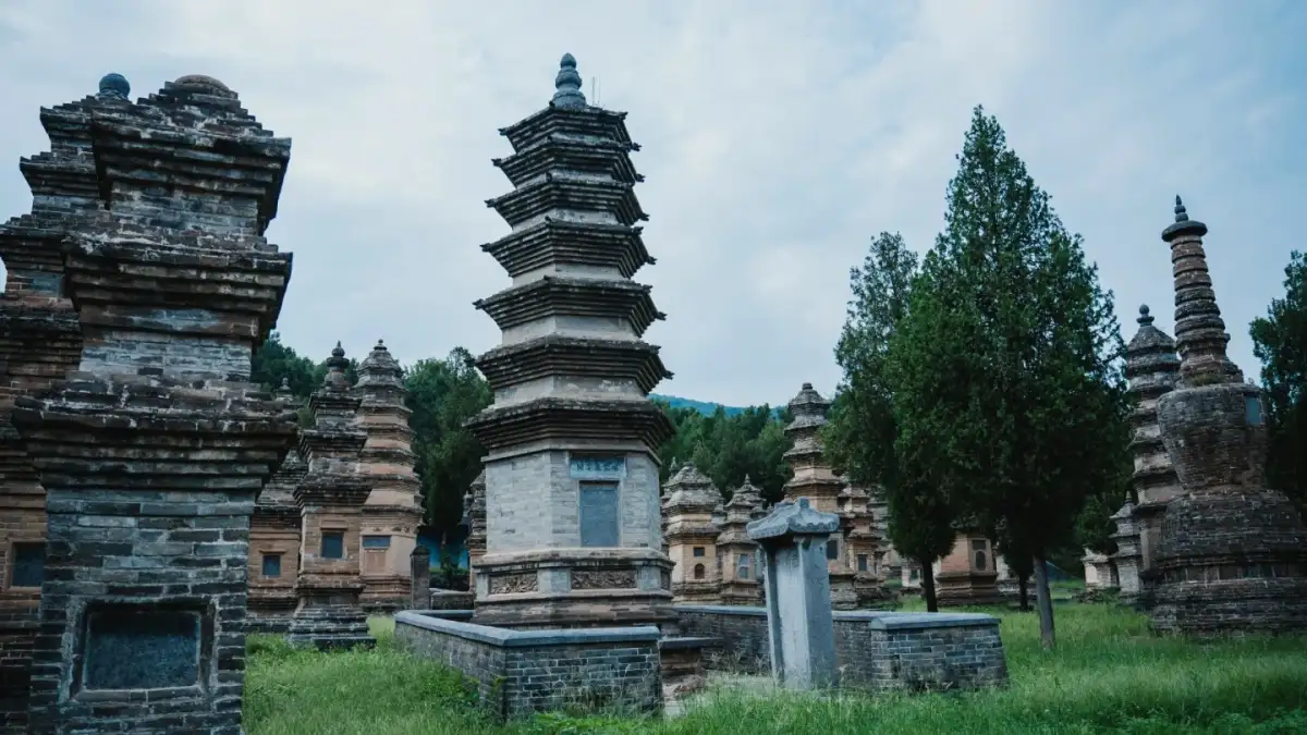 少林寺塔林中不同形制的砖塔
