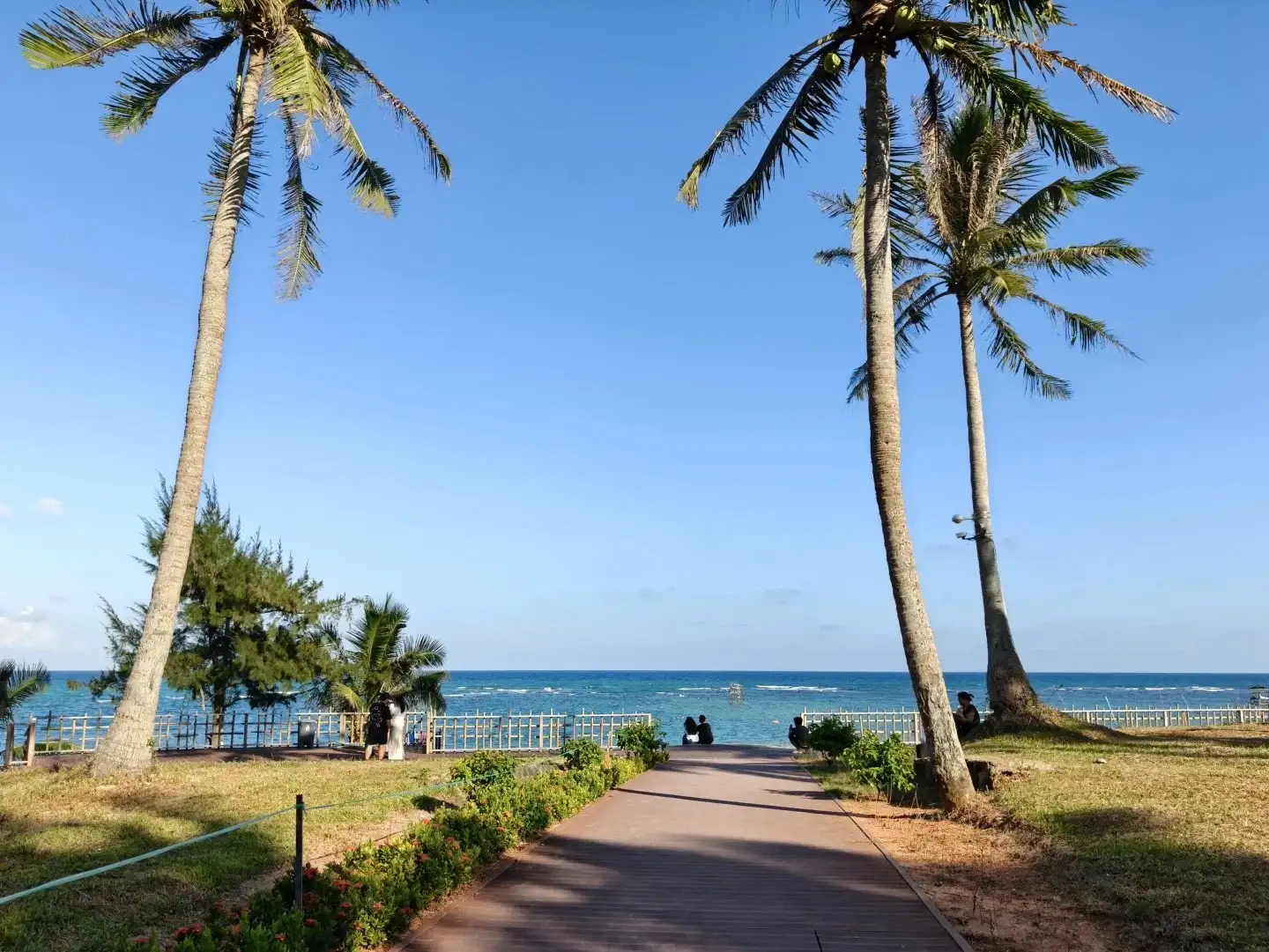 文昌海边椰树与步道