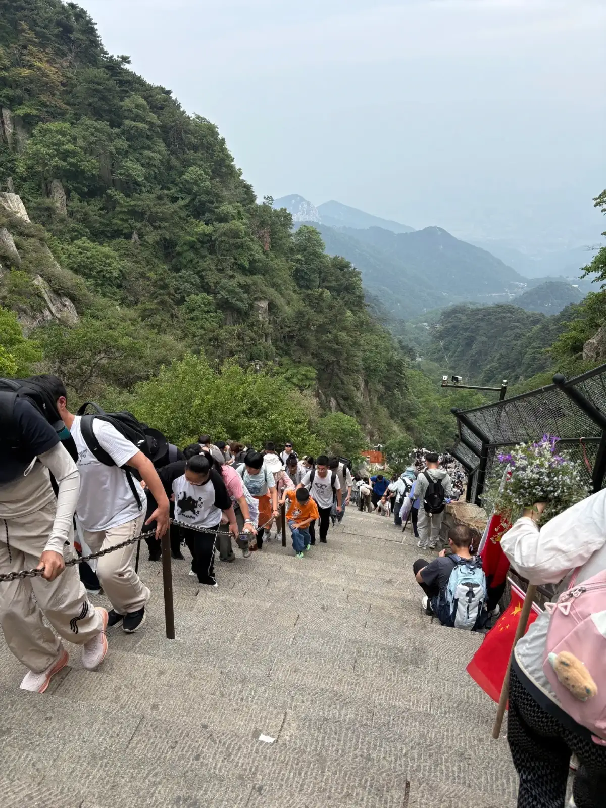 泰山登山石阶上的行人与两侧山林