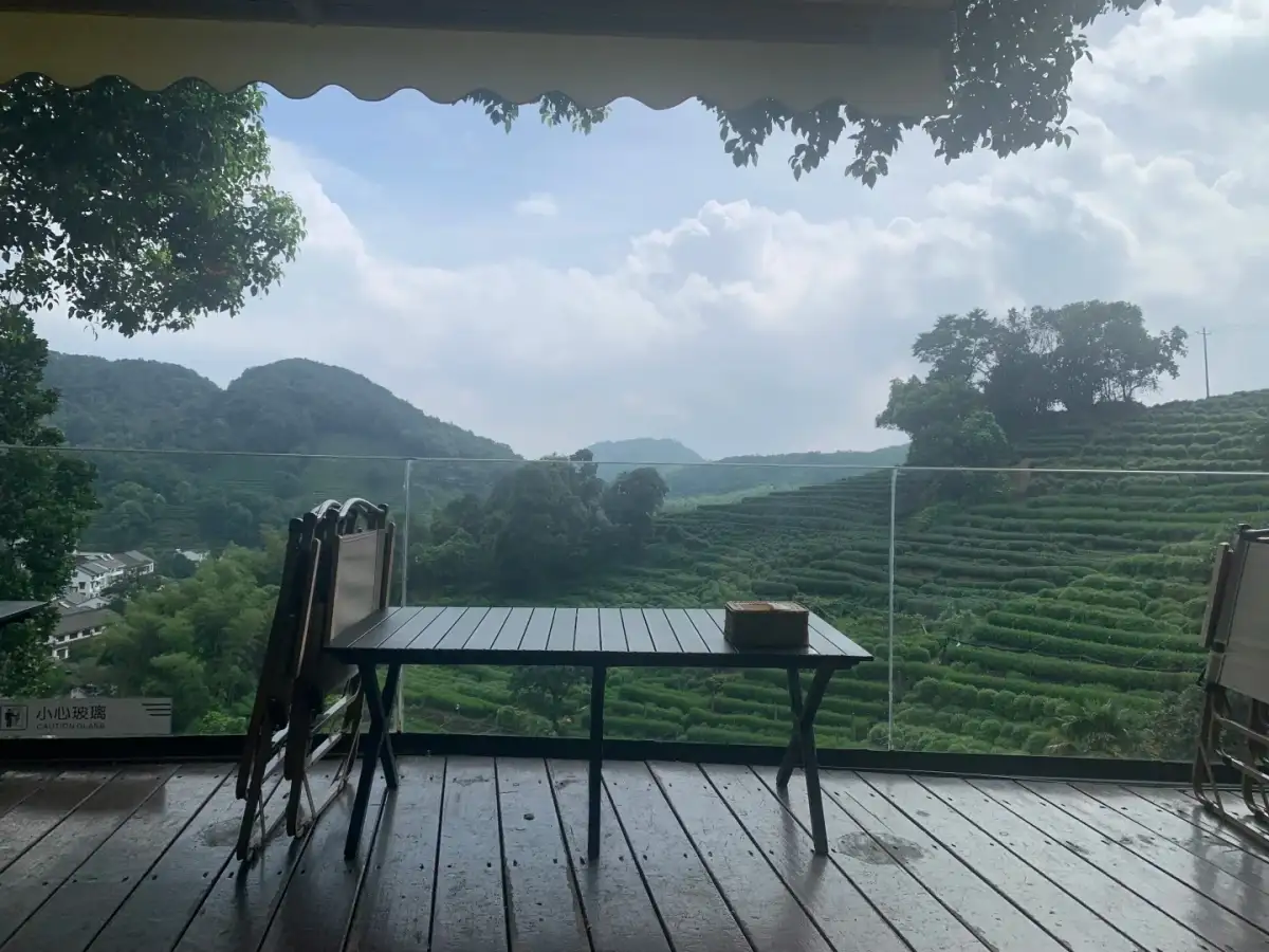 遮棚下的桌椅面向层层茶田,远处是连绵山坡。
