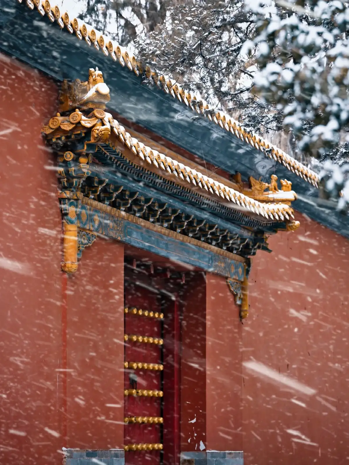 明孝陵雪中彩绘屋檐与红色院门