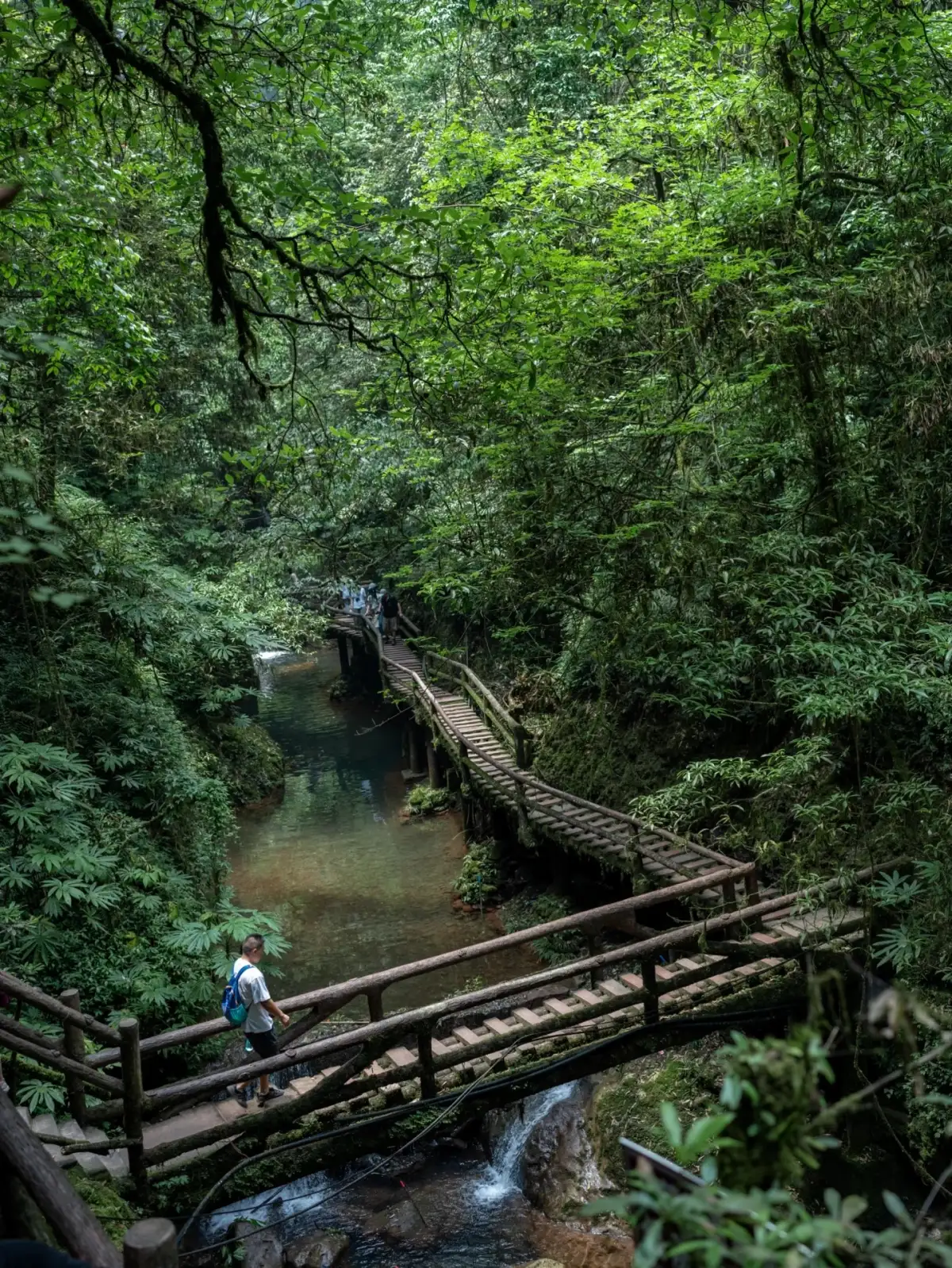 The wooden-railed walking path alongside the stream on Qingcheng’s Back Mountain