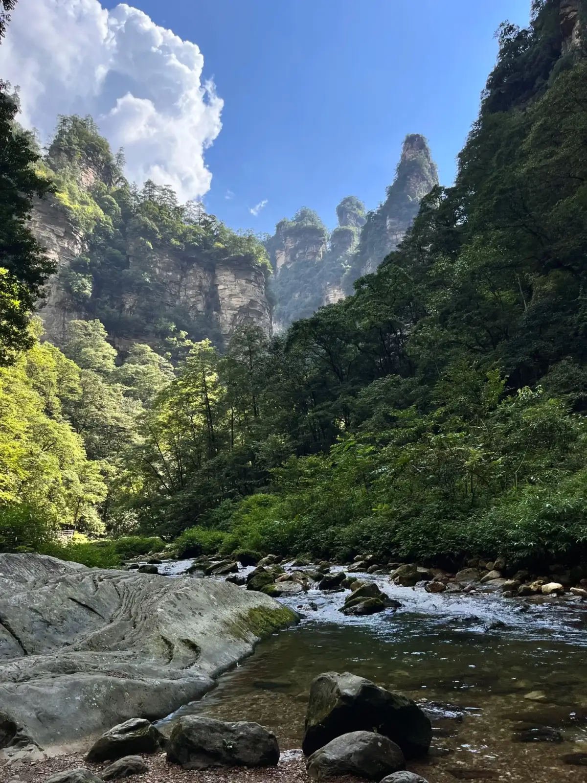 石块与溪水构成前景,两侧森林夹着远处尖耸石峰。