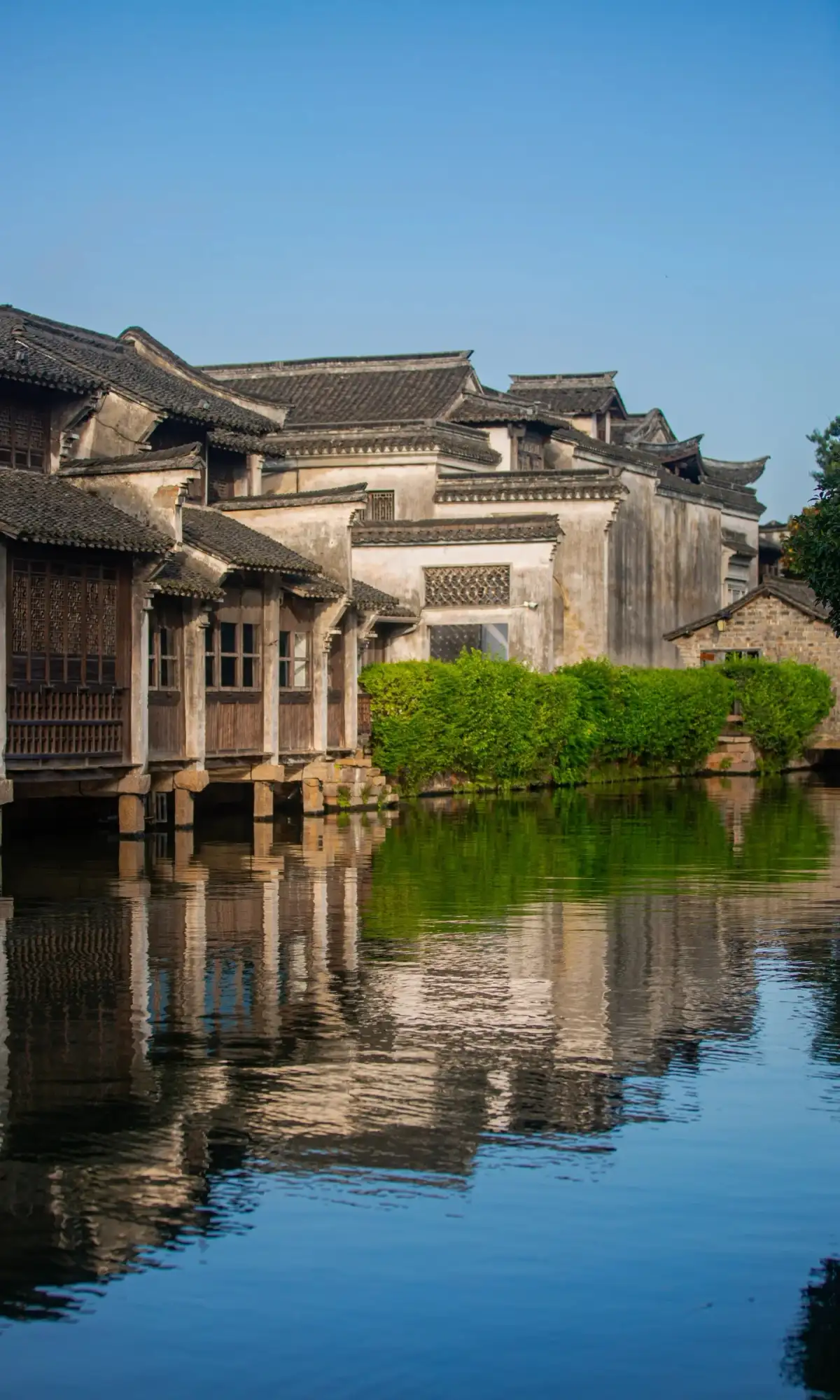 乌镇河岸建筑的灰瓦与墙面