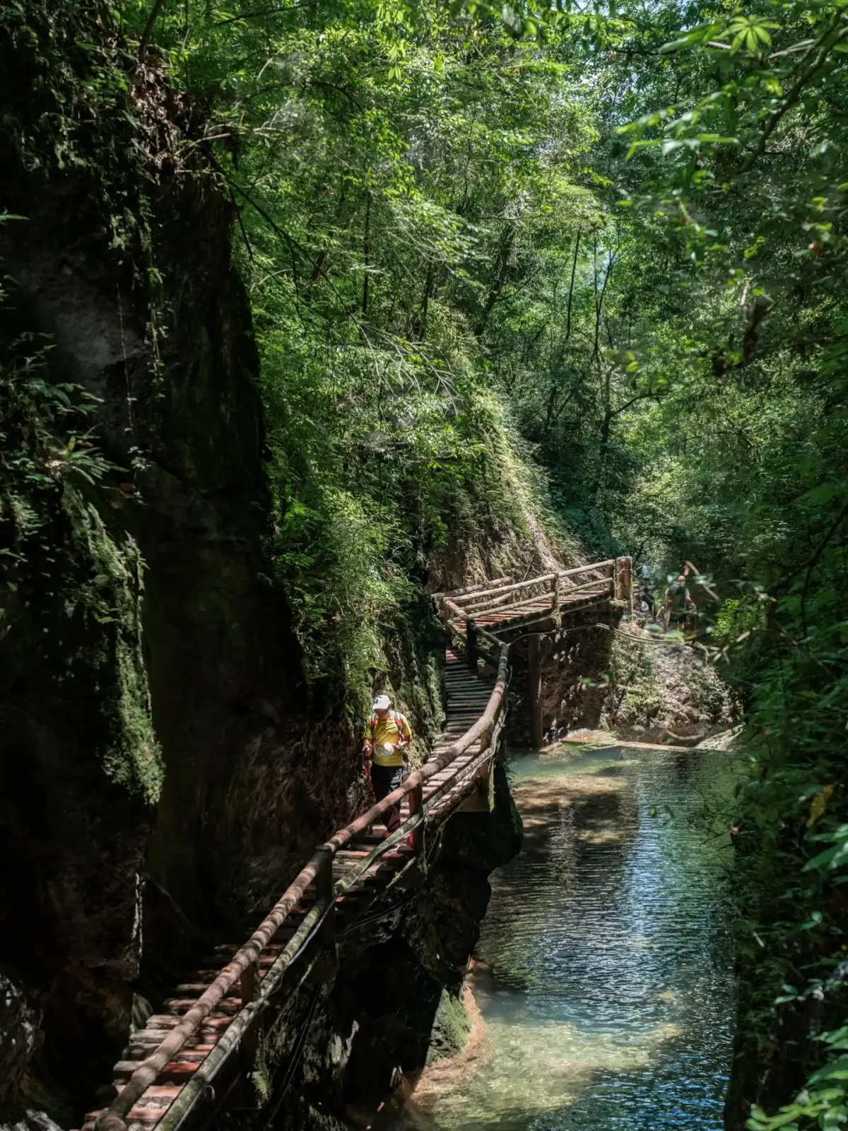 The streams, valleys, and trails among the forests of Qingcheng’s Back Mountain