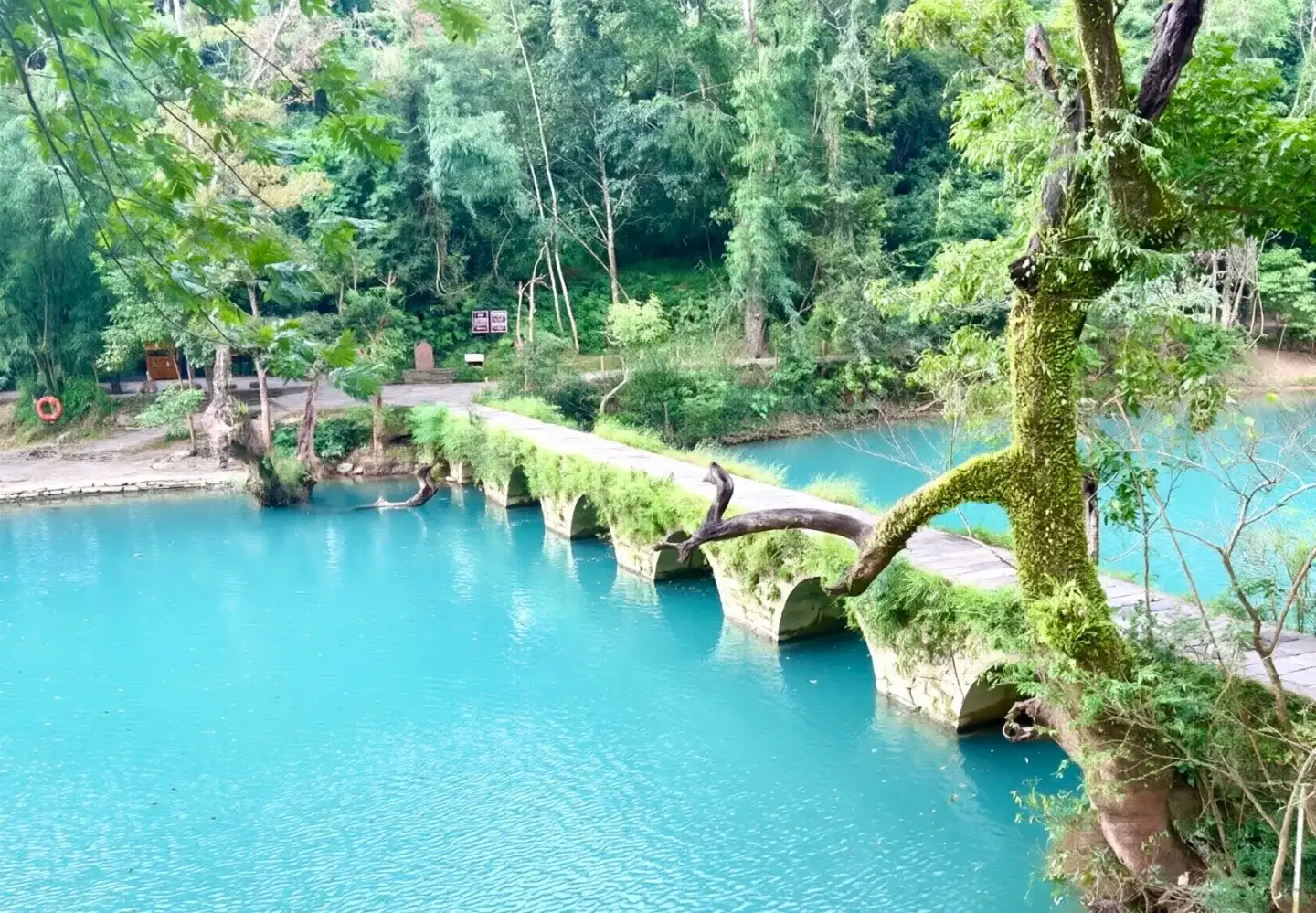 Moss-green stone arch bridges over emerald waters and the surrounding woods