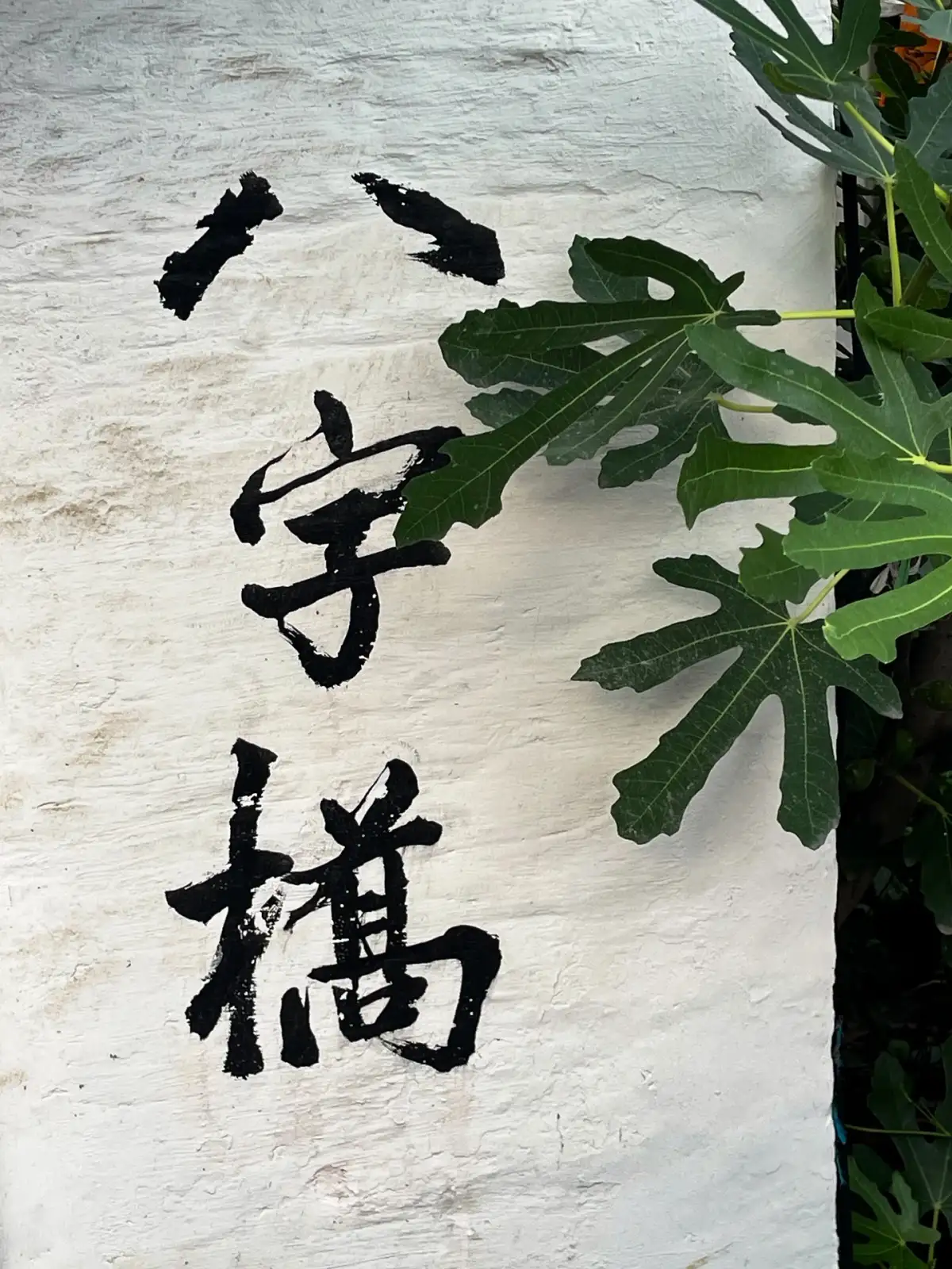 绍兴八字桥街区白墙上的地名题字与枝叶