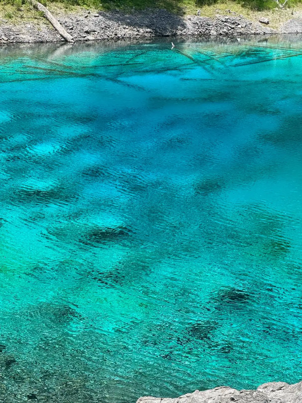 The transparent, turquoise-blue lake reveals rocks and sunken wood beneath the surface, with tiny ripples gliding across the water.
