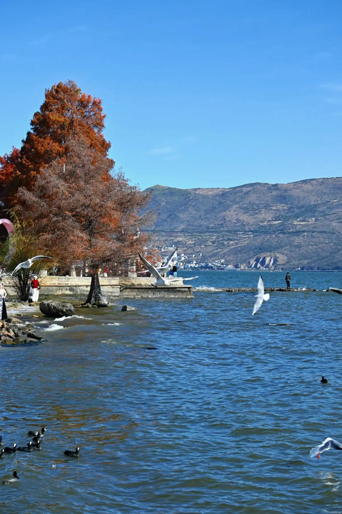 The reddish-brown trees along the lakeshore contrast with the distant mountains, and waterbirds can be seen flying and swimming on the water’s surface.