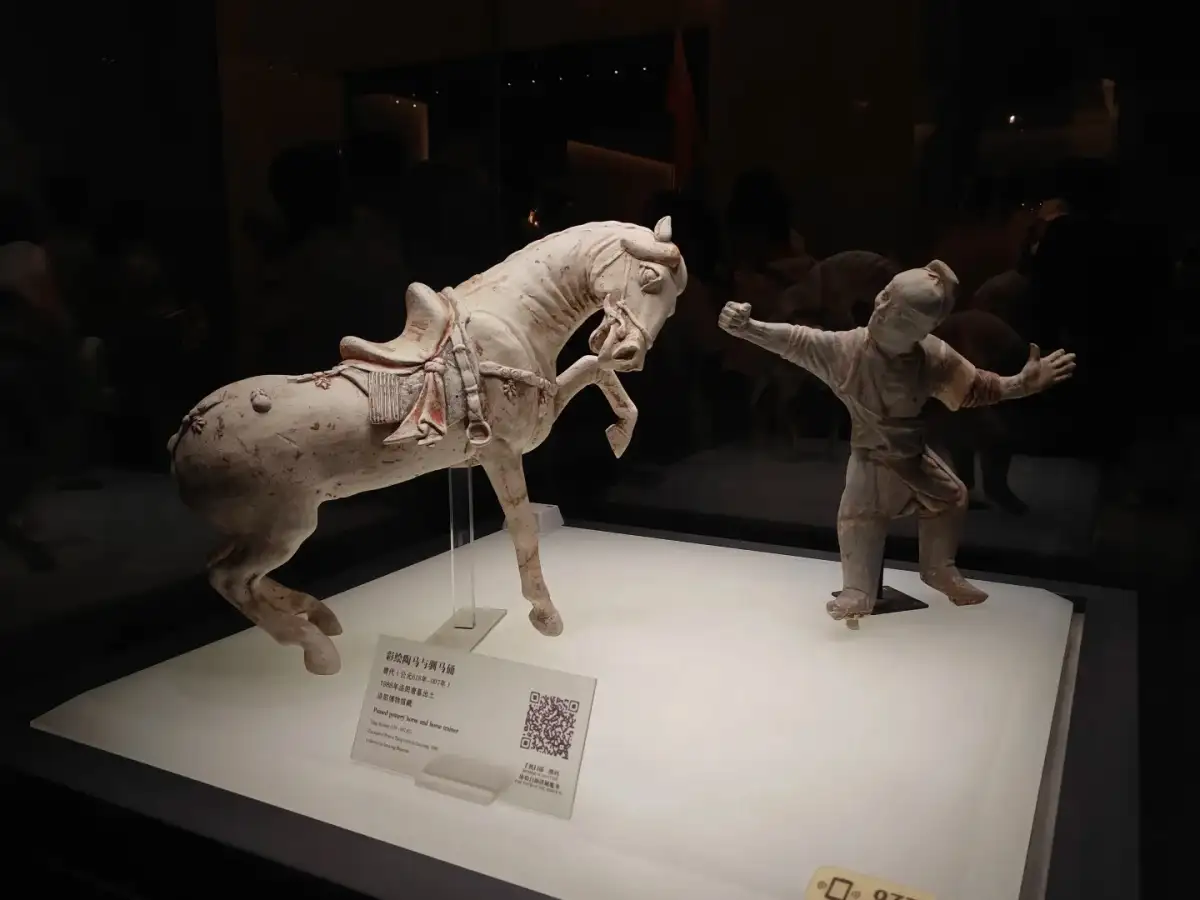 Horse-shaped and human-figure exhibits are displayed in the showcases, with explanatory signs placed in front of them.