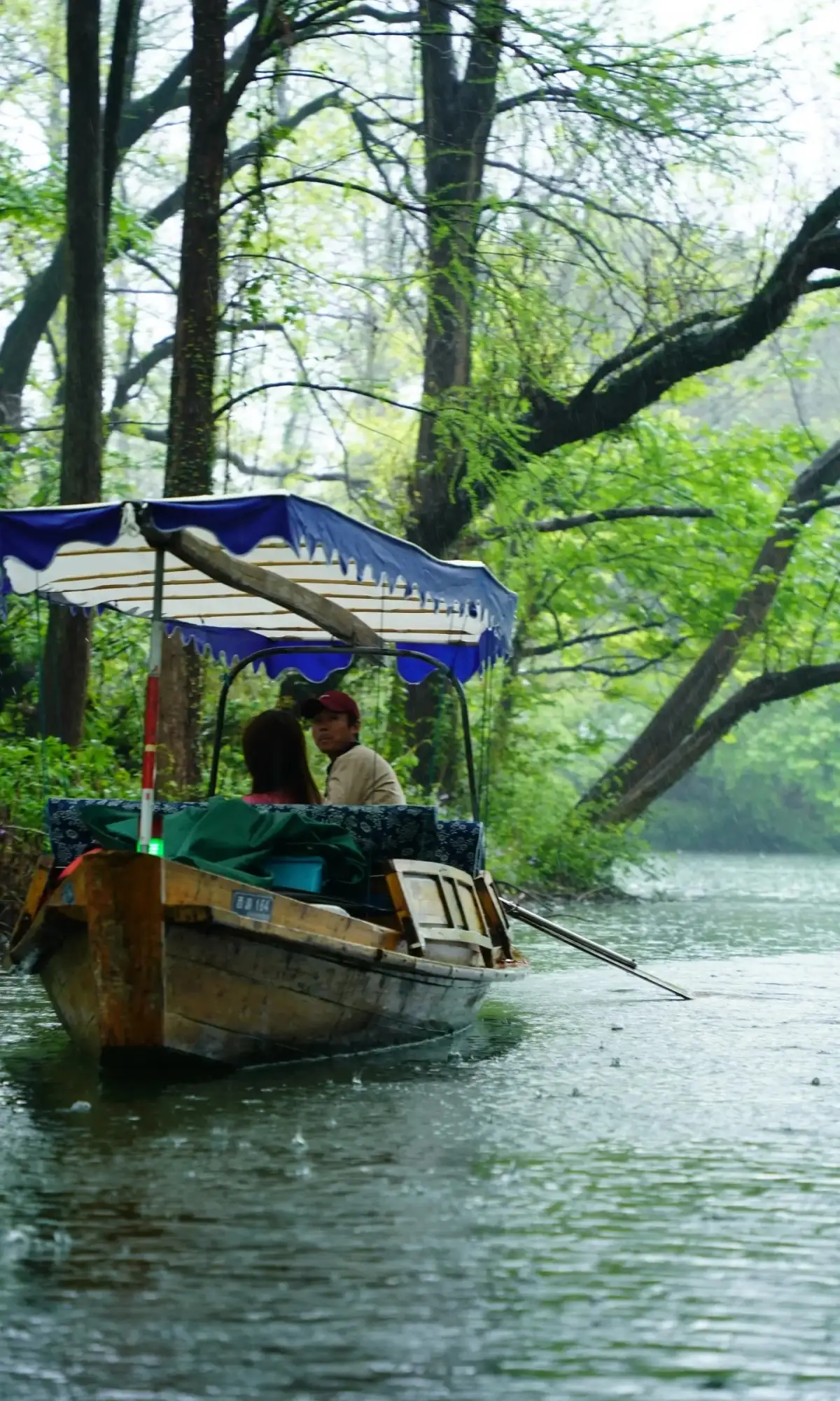 Hand-rowed boats on the West Lake waterways