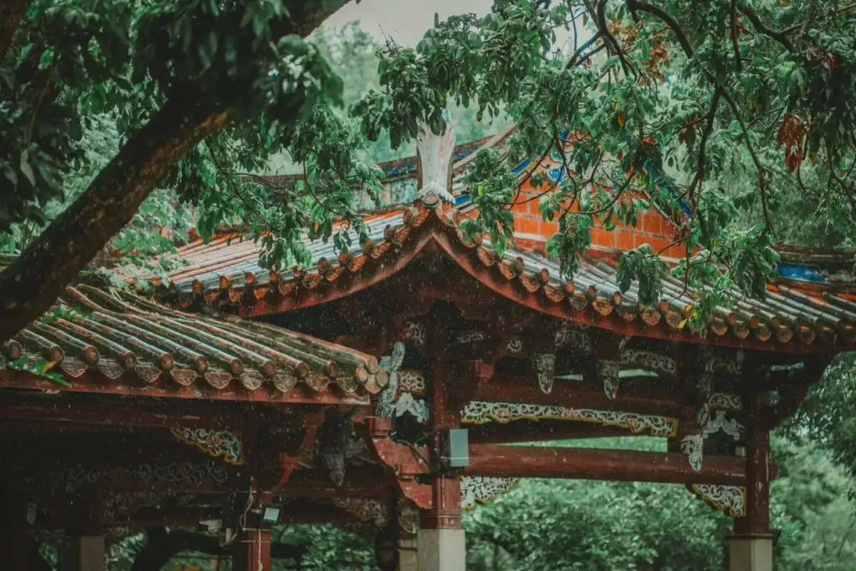 Branches frame the colorful roof ridge and the temple entrance, with the courtyard visible beneath the archway.