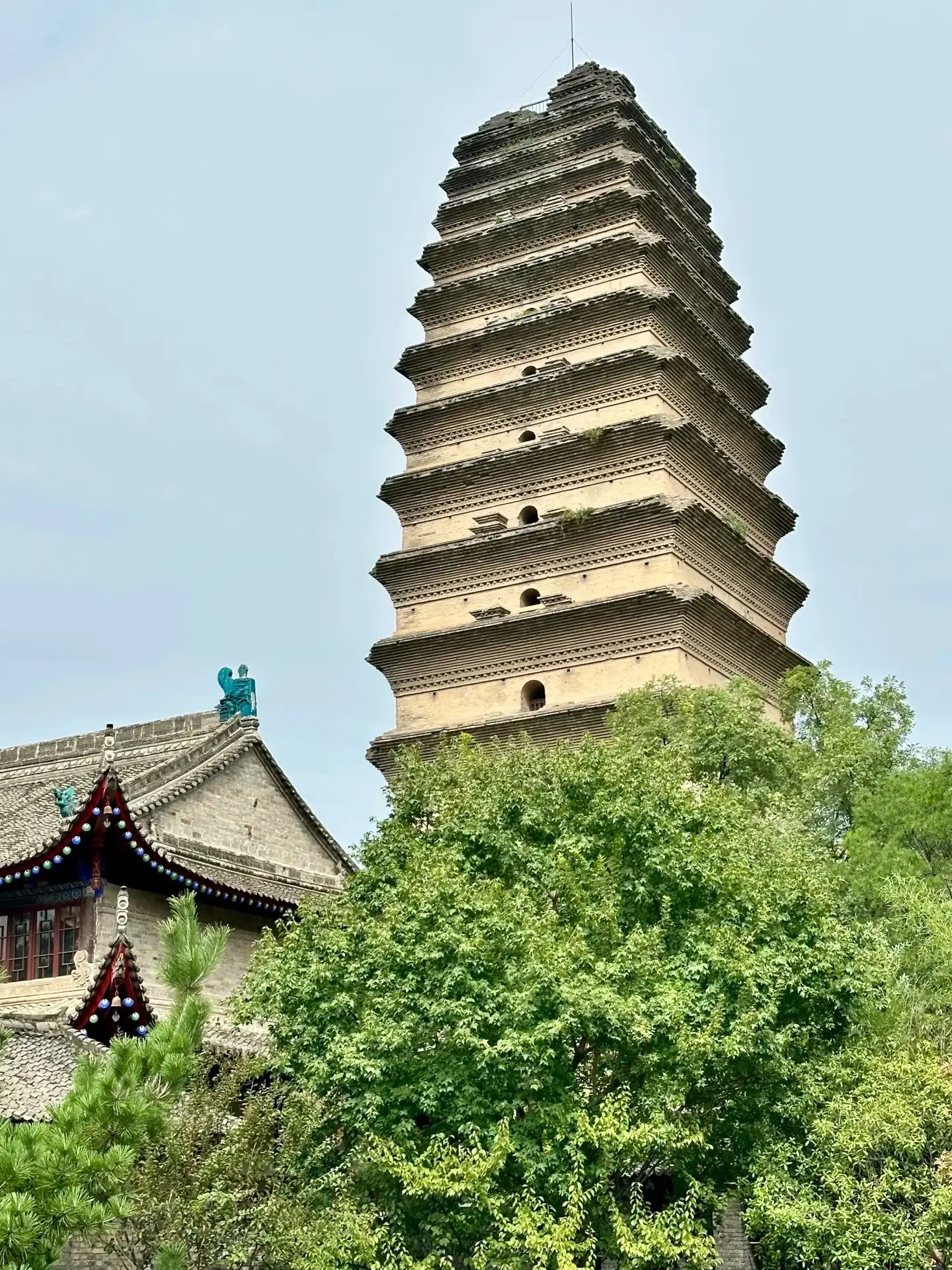 小雁塔塔身与树冠