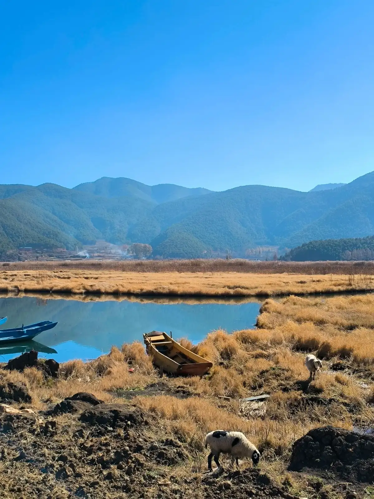 草地水湾边停着木船,近处有一只小动物,远方山坡横跨画面。