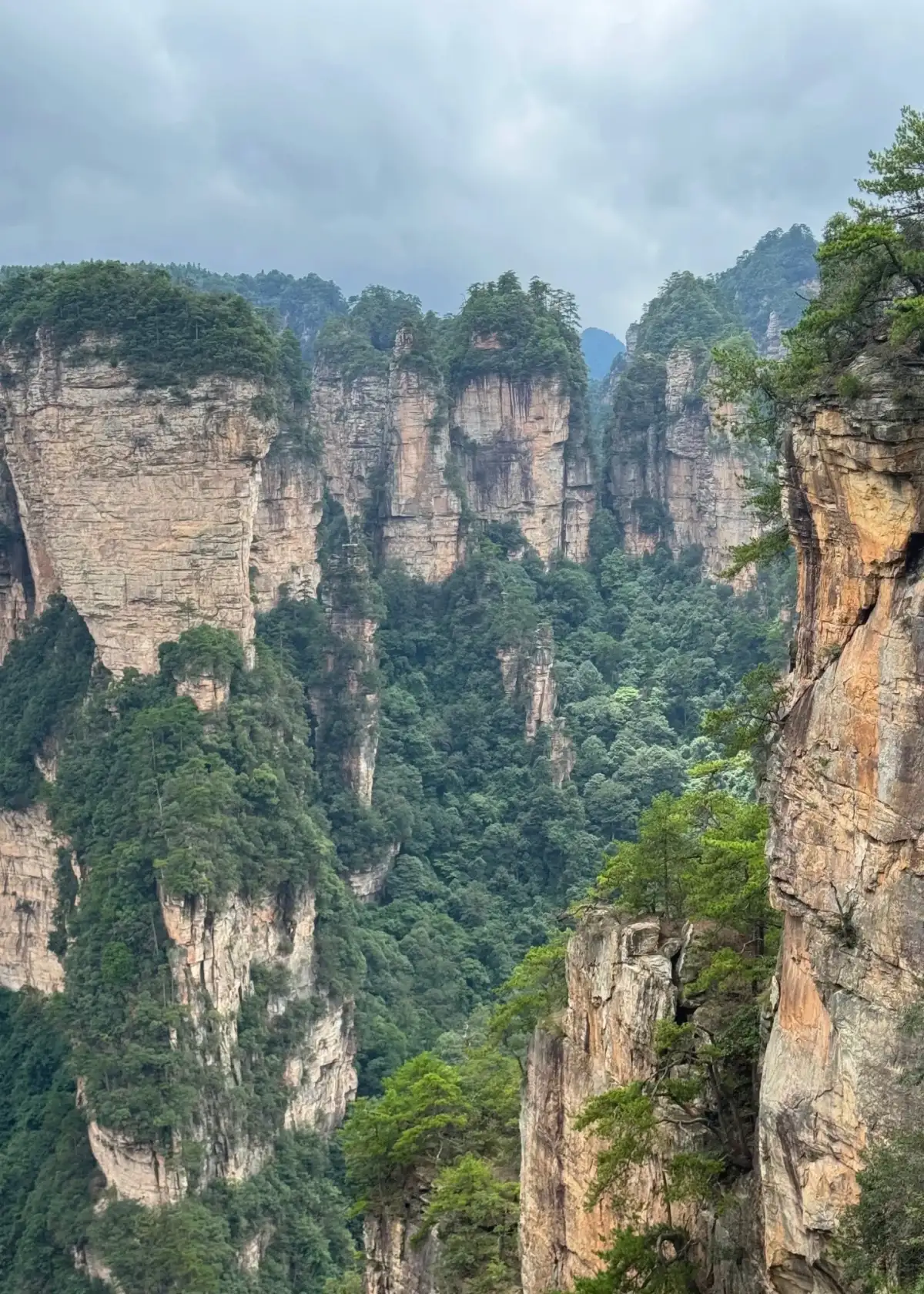 层层竖直岩壁与石峰夹着浓绿山谷,顶部覆盖树木。