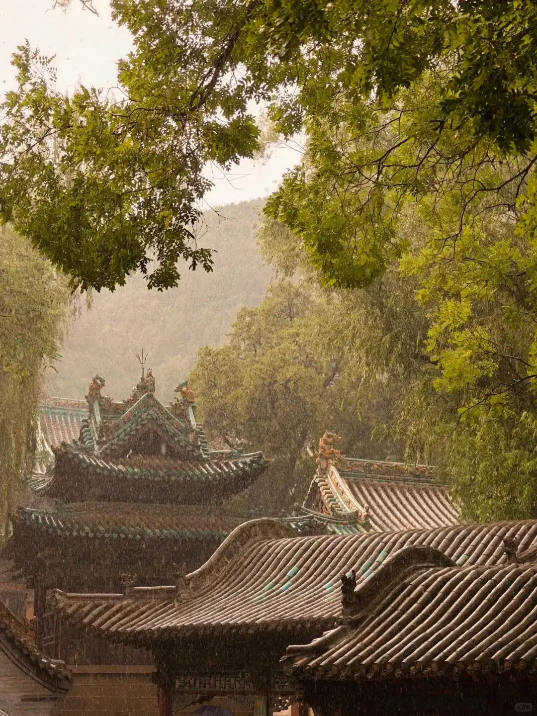 雨中晋祠的重叠屋顶与树木