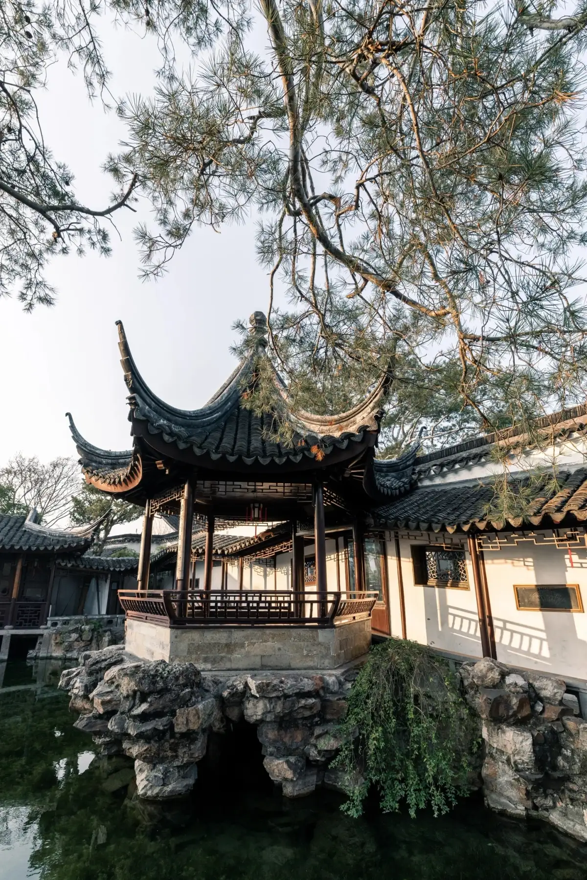 网师园池边亭子与松枝