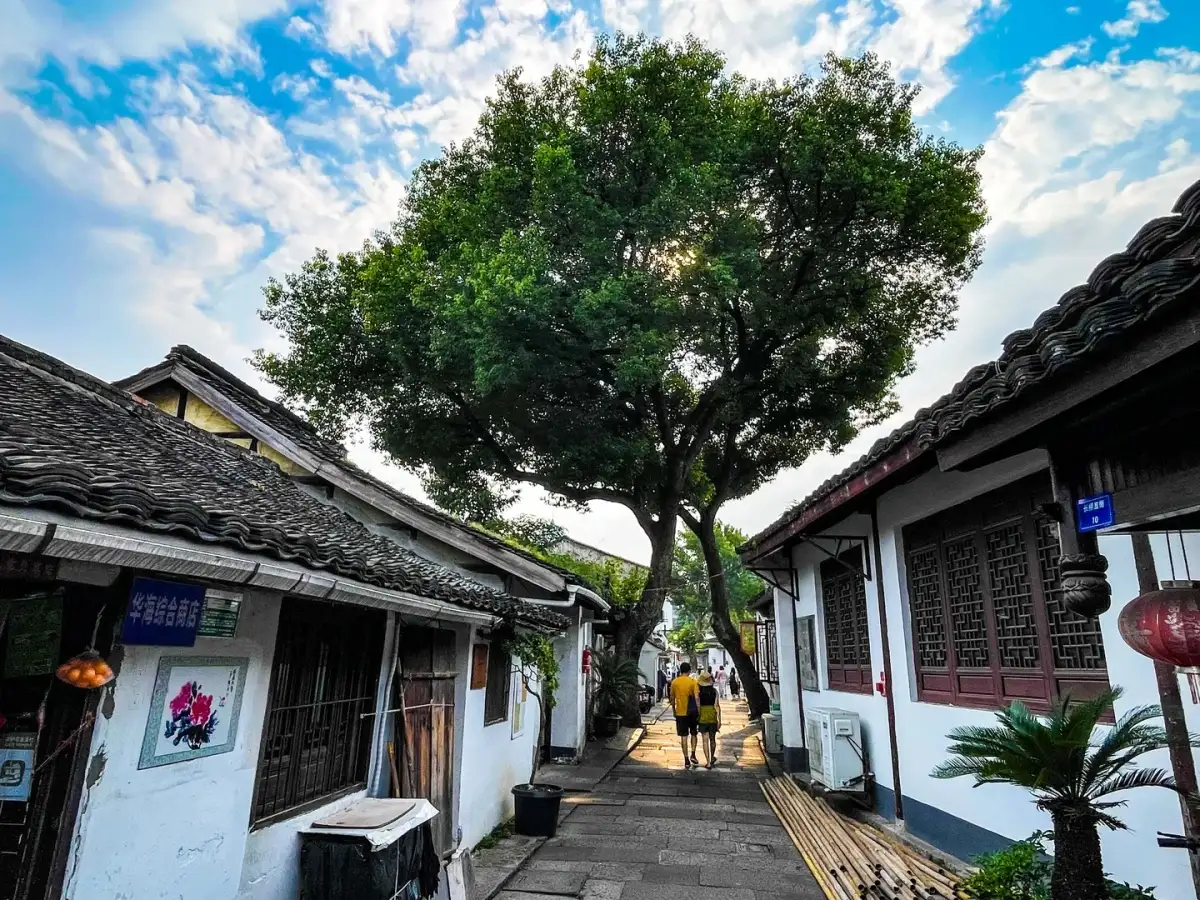 The cobblestone paths, white-walled houses, and large trees of the Baziqu Bridge neighborhood in Shaoxing