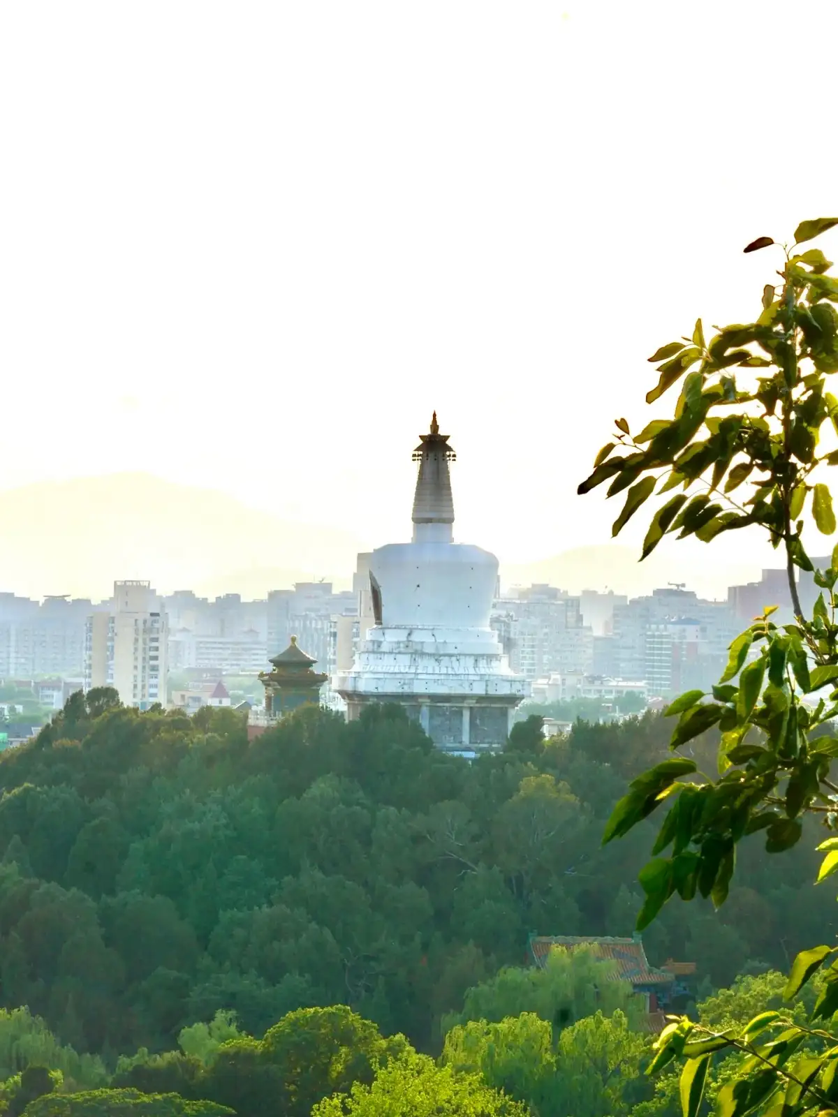 A distant view of the White Pagoda of Beihai Park above the green trees
