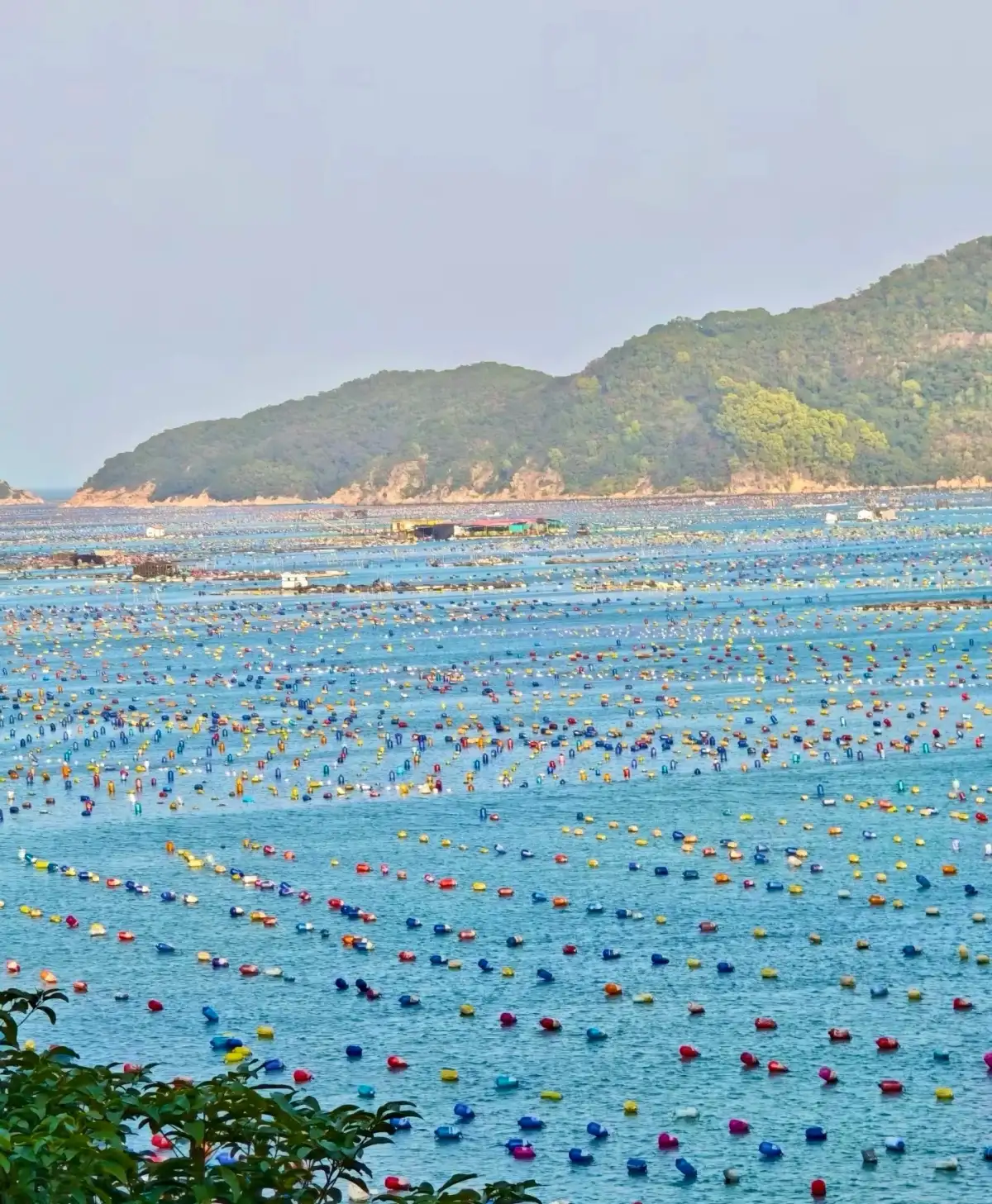 南澳近岸养殖浮标与远处山坡