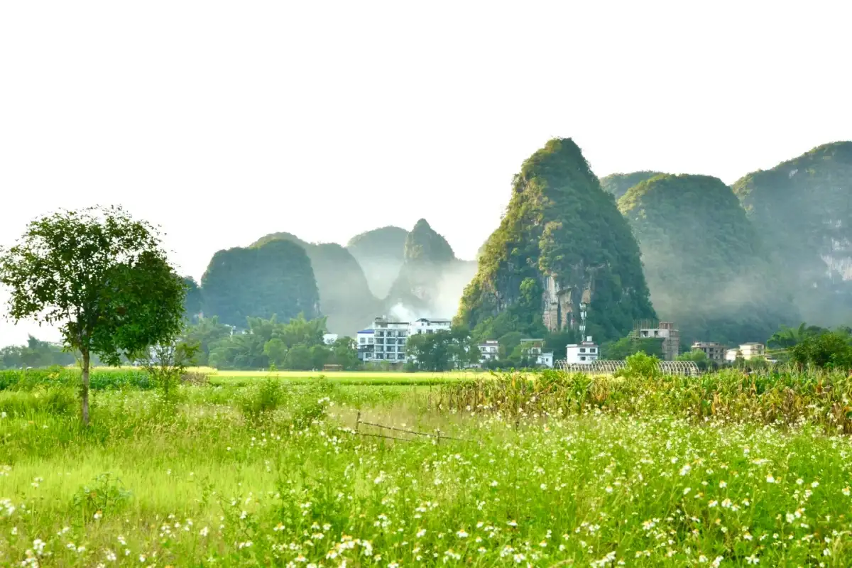 阳朔田野与远处山峰
