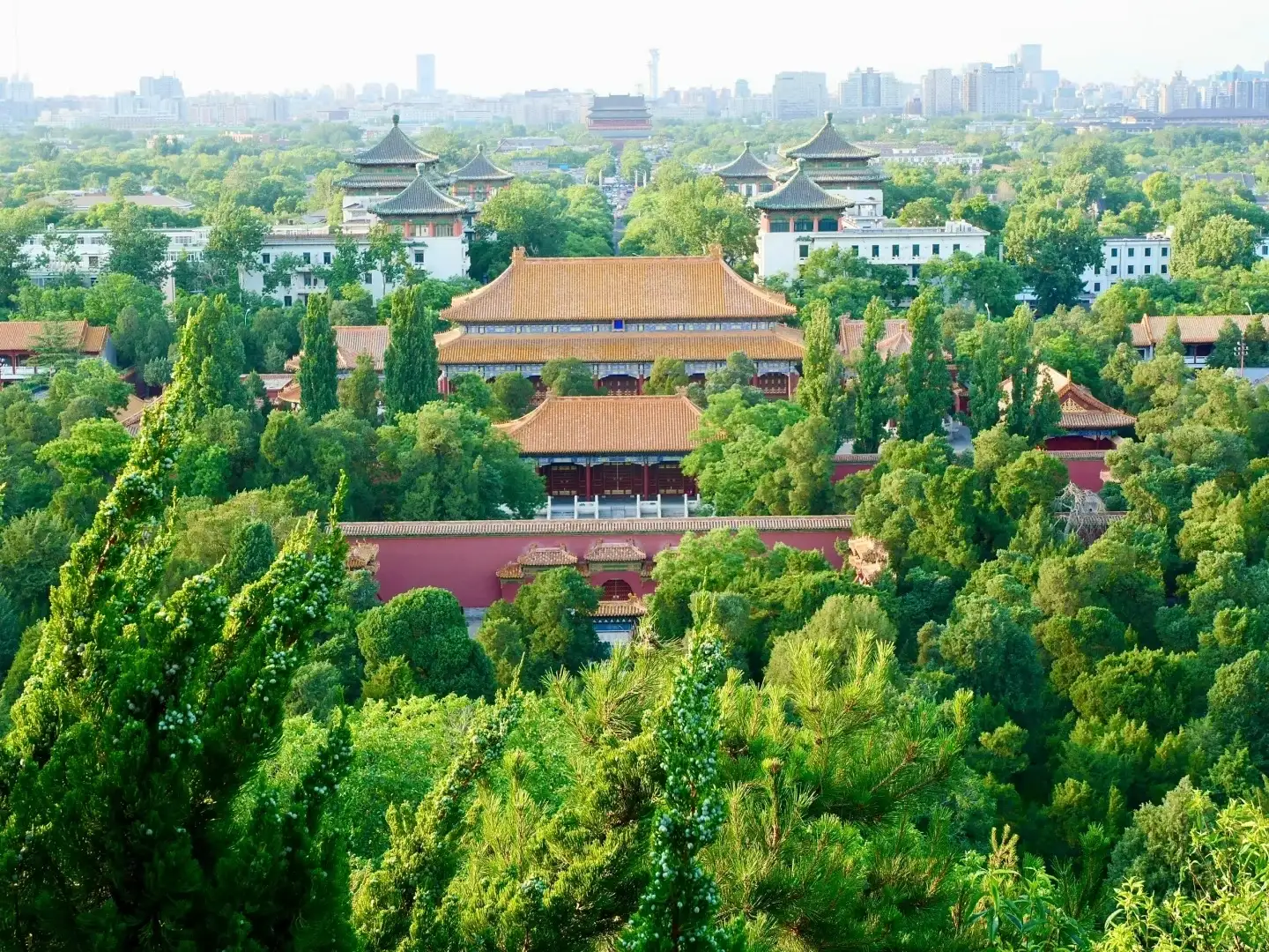View the palaces along the Central Axis and the cityscape from the heights of Jingshan Hill