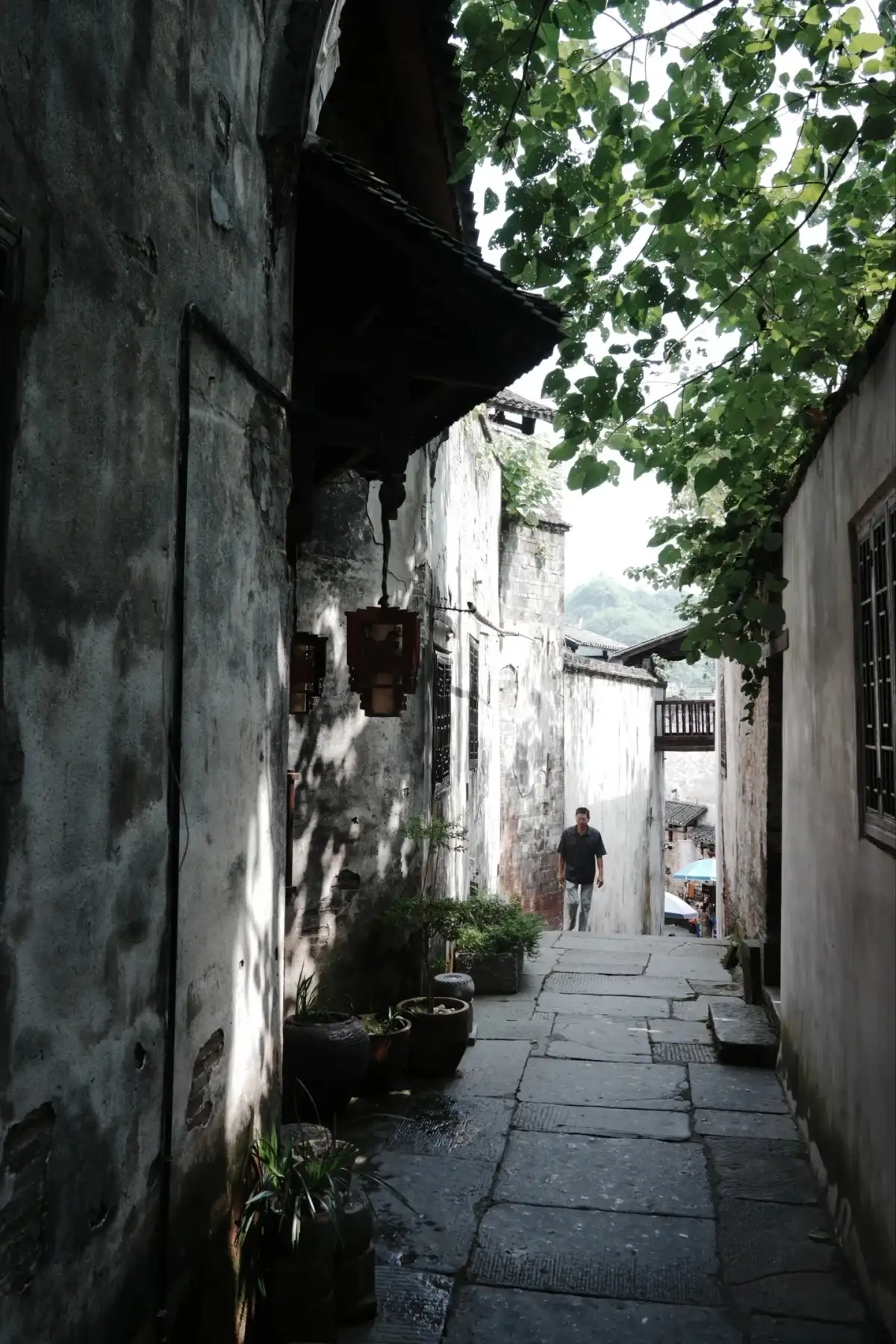 Stone-paved alleyways under the shade of trees in Hongjiang, with pedestrians in the distance
