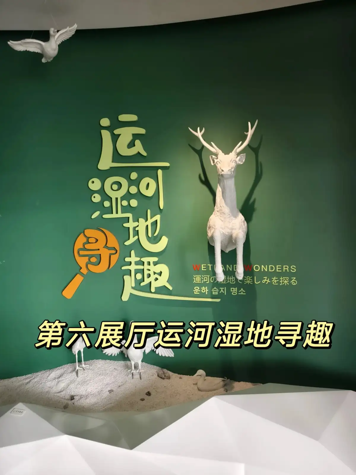 运河湿地主题展板与动物陈列